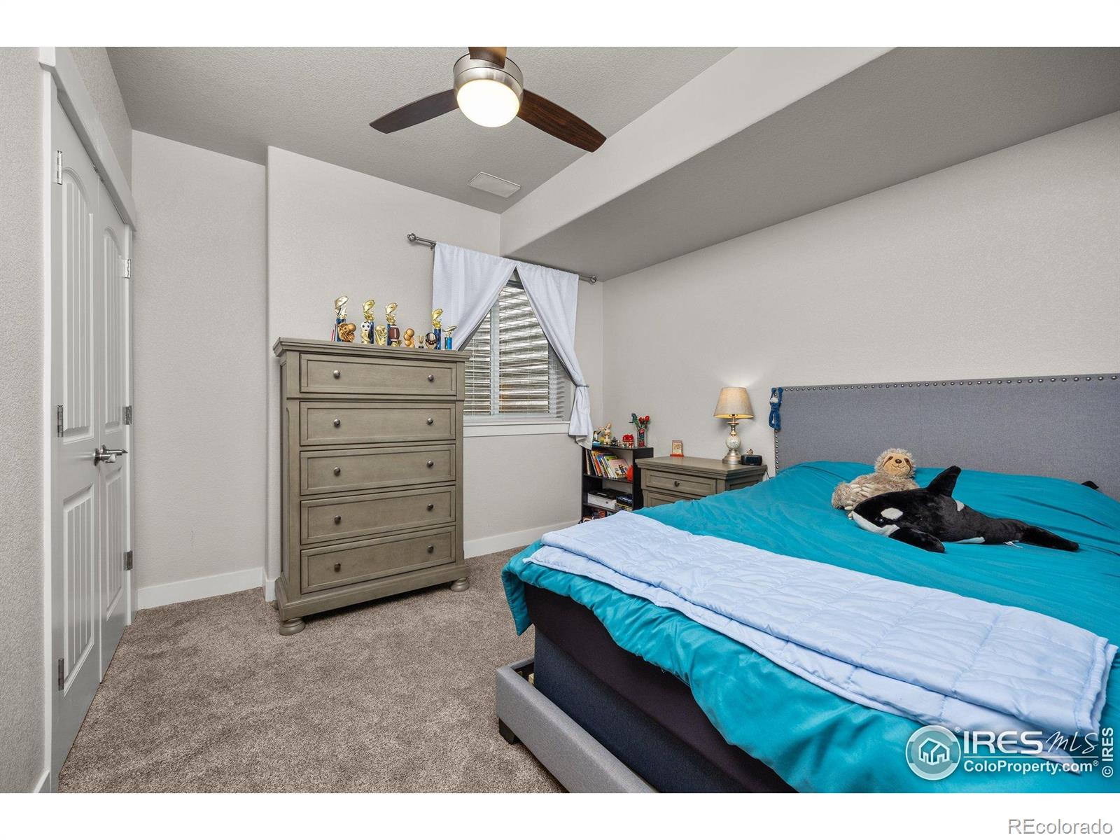 MLS Image #21 for 3424  syrah street,greeley, Colorado