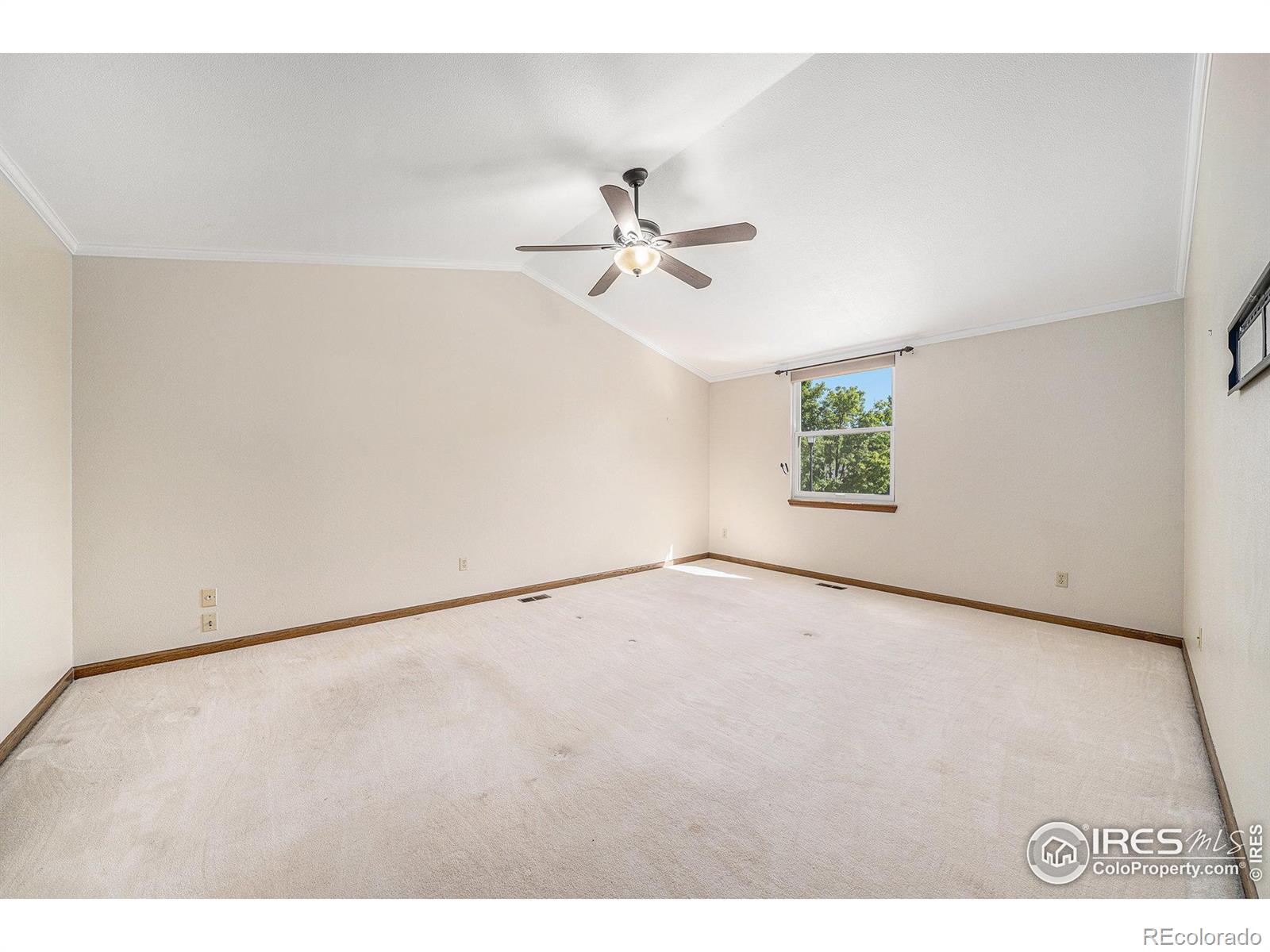 MLS Image #15 for 1600  shenandoah circle,fort collins, Colorado