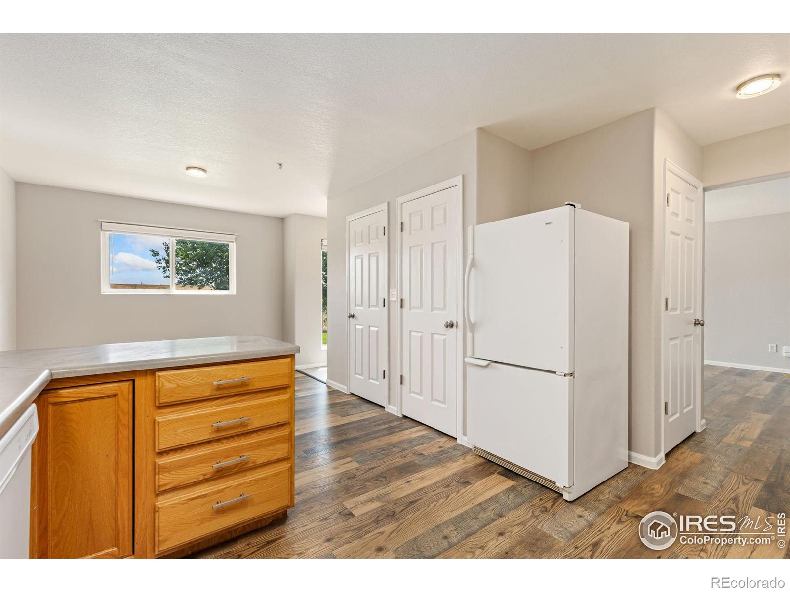 MLS Image #13 for 1601  great western drive,longmont, Colorado