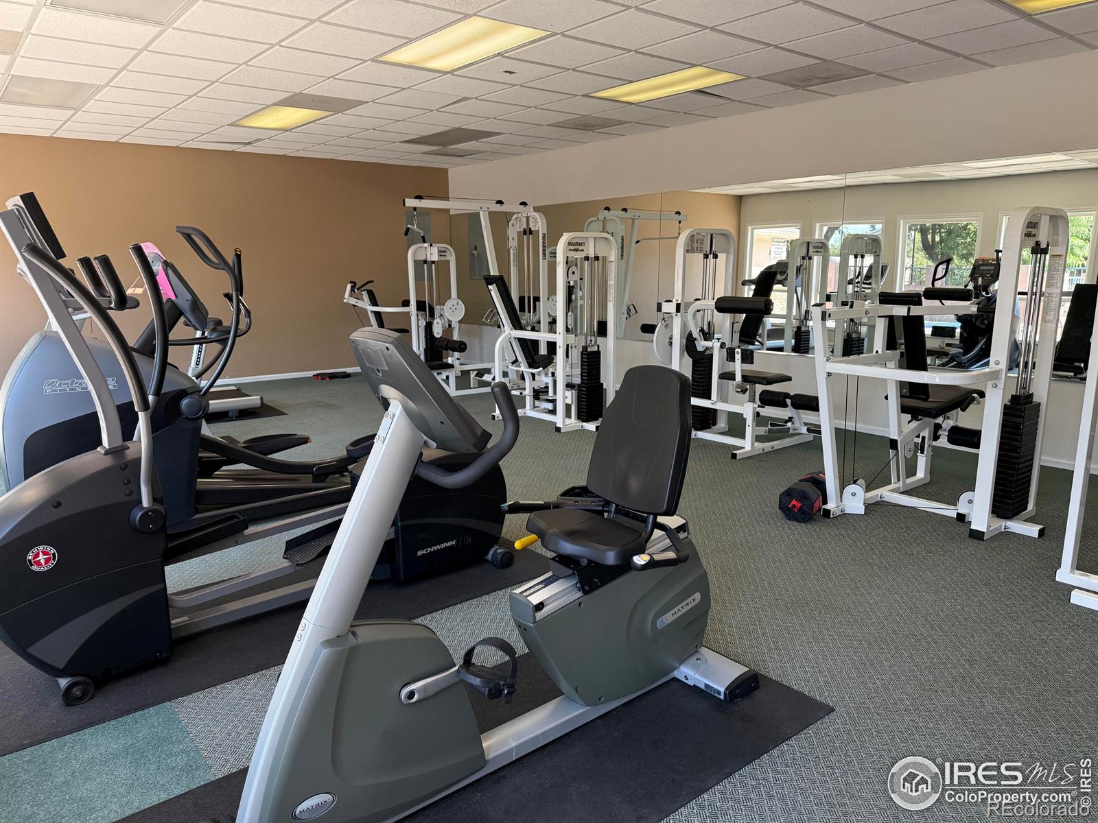 MLS Image #31 for 1601  great western drive,longmont, Colorado