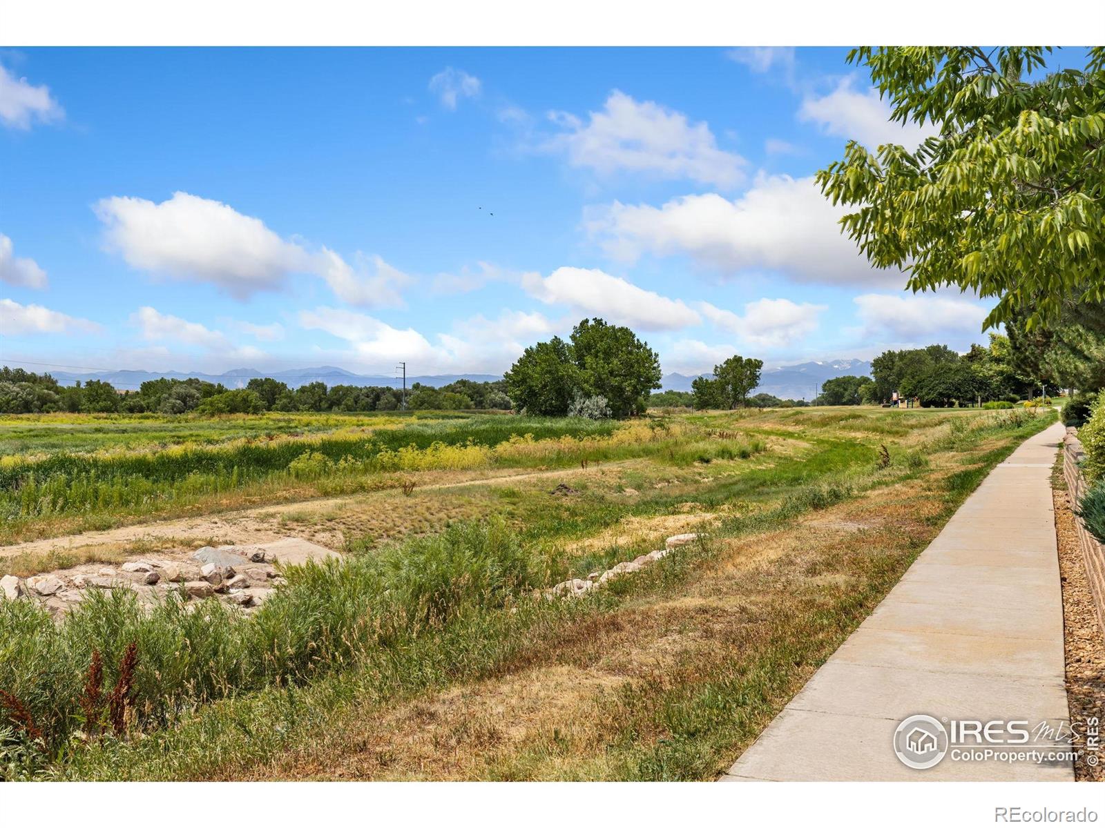 MLS Image #4 for 1601  great western drive,longmont, Colorado