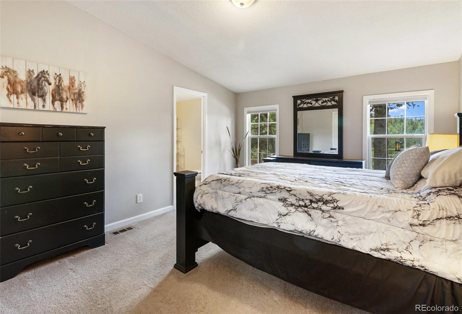 MLS Image #19 for 192  silbani trail,woodland park, Colorado