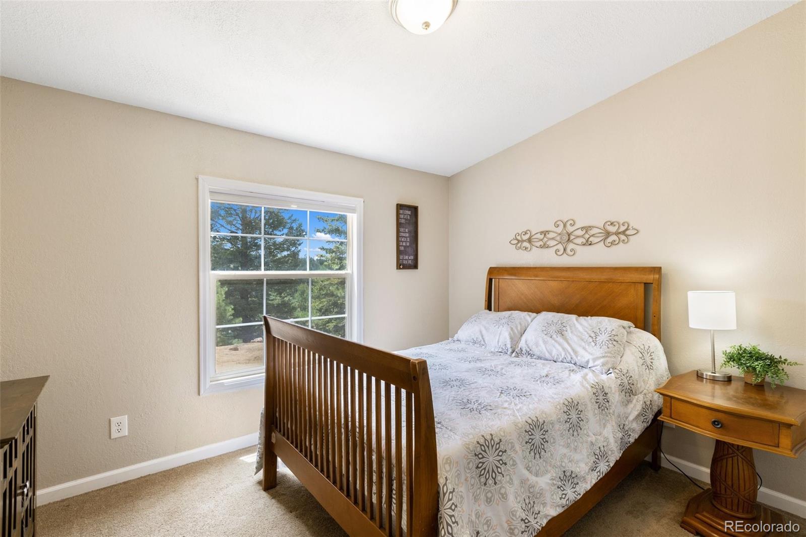 MLS Image #25 for 192  silbani trail,woodland park, Colorado