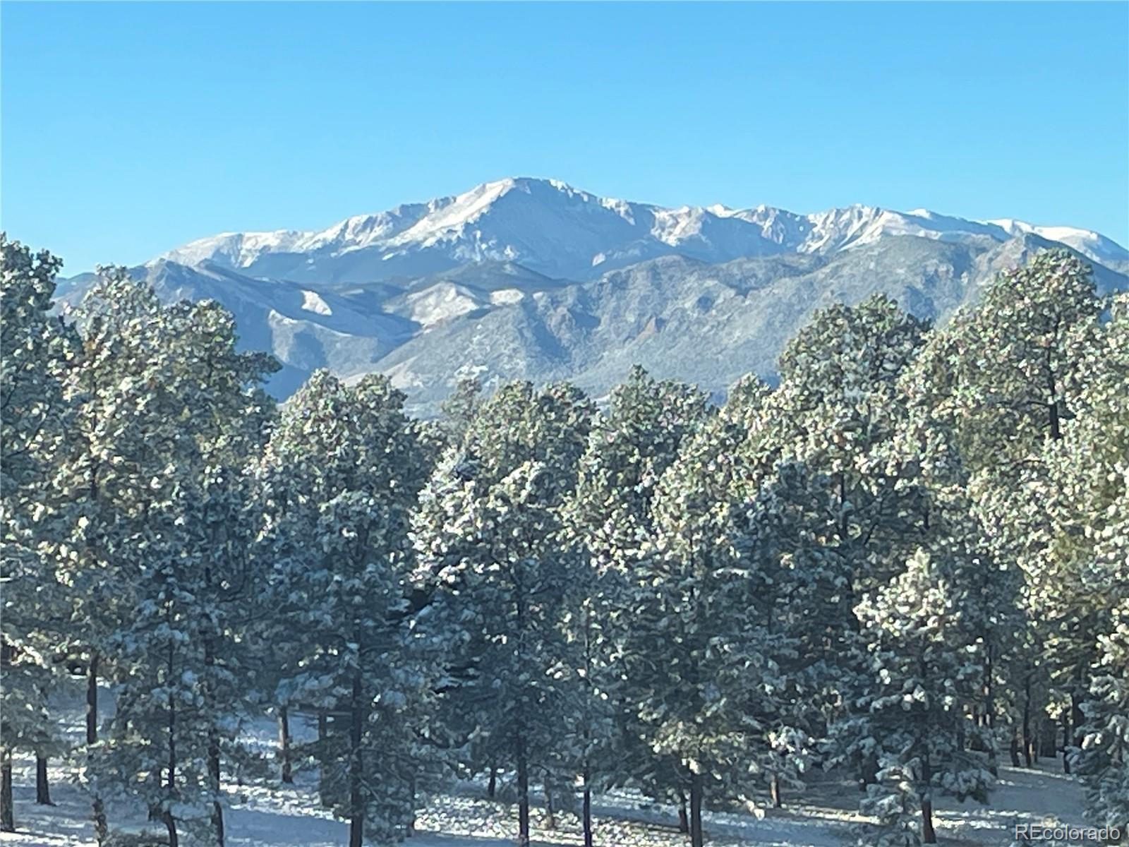 MLS Image #31 for 17270  colonial park drive,monument, Colorado