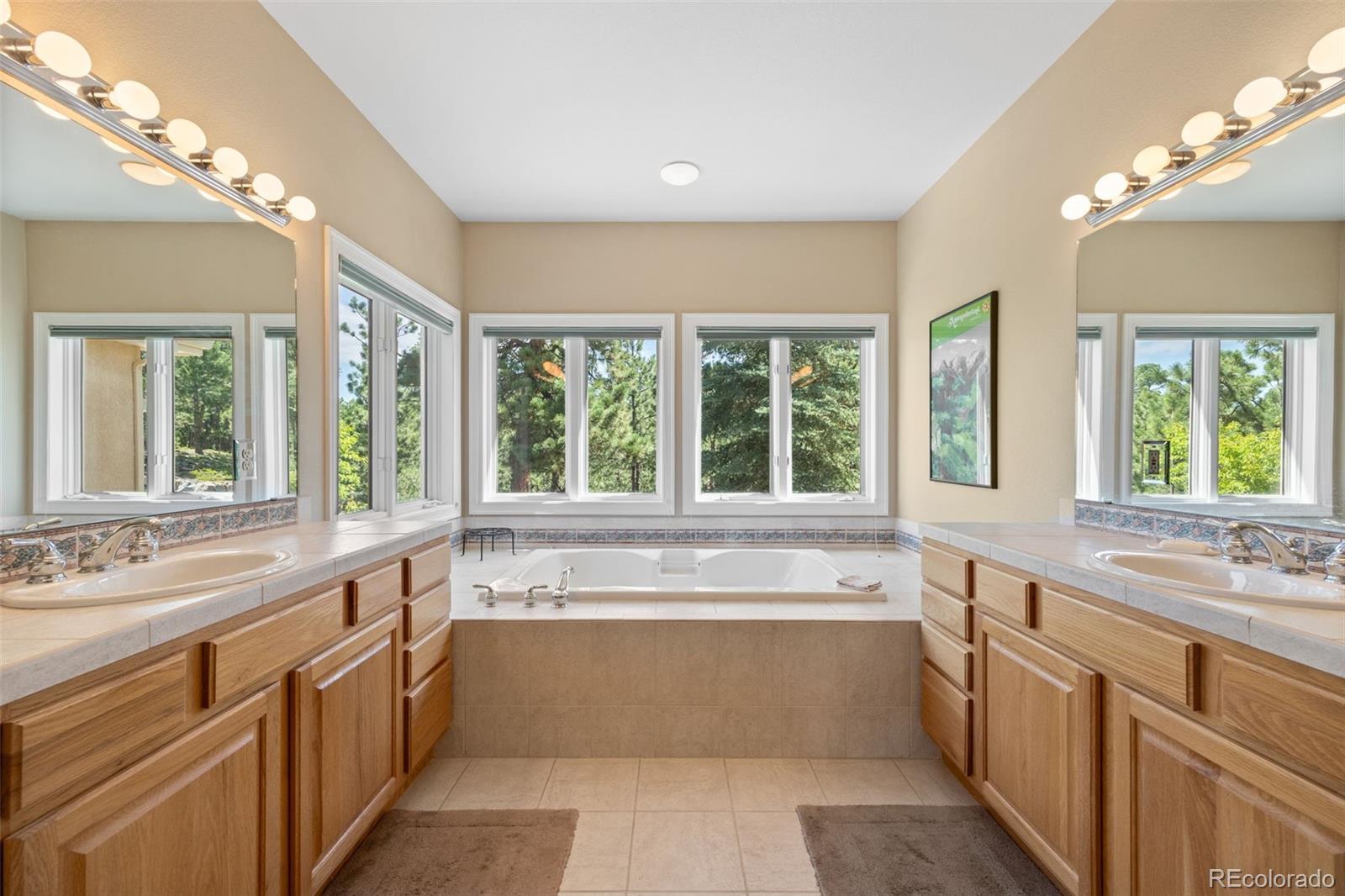 MLS Image #22 for 17551  colonial park drive,monument, Colorado