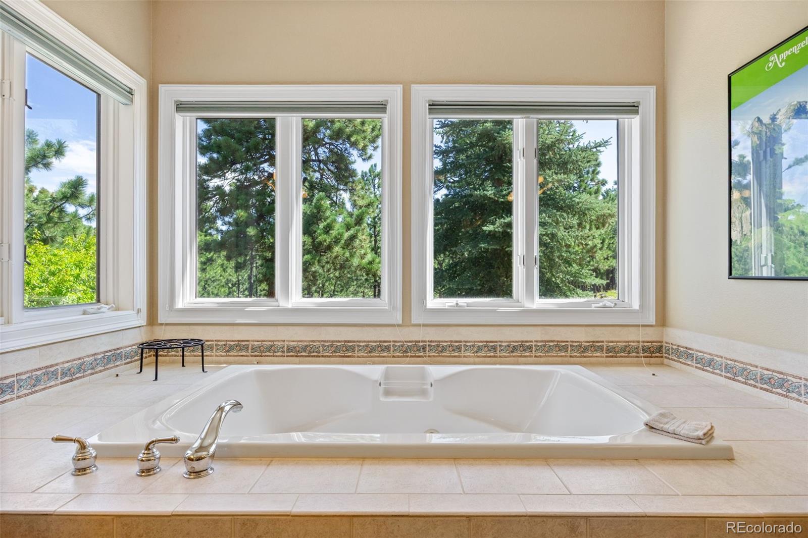 MLS Image #23 for 17551  colonial park drive,monument, Colorado