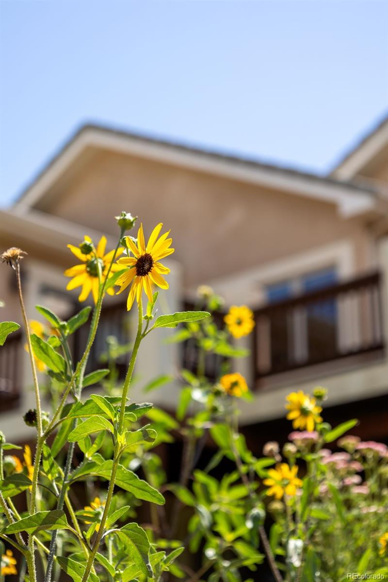MLS Image #37 for 17551  colonial park drive,monument, Colorado