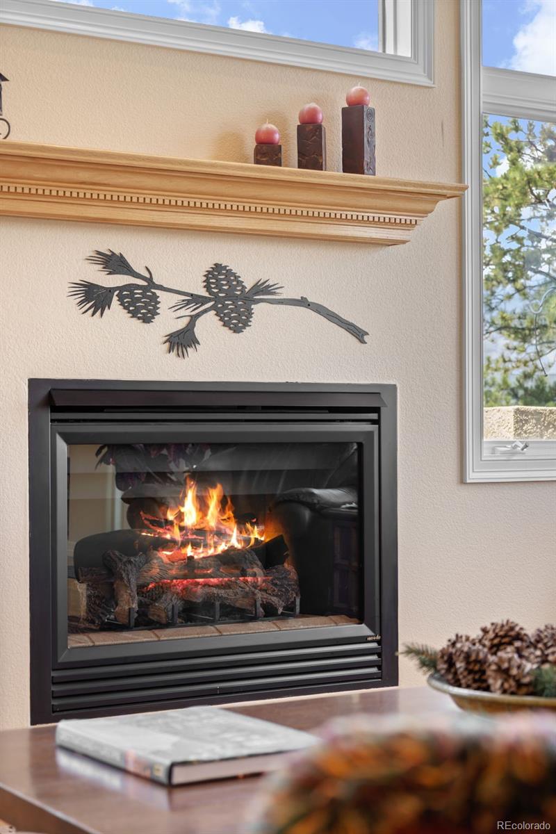 MLS Image #9 for 17551  colonial park drive,monument, Colorado
