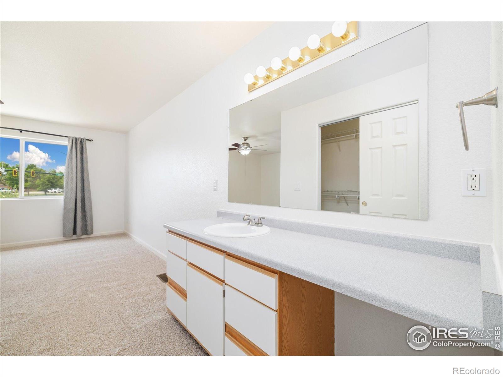 MLS Image #18 for 1224  country acres court,johnstown, Colorado