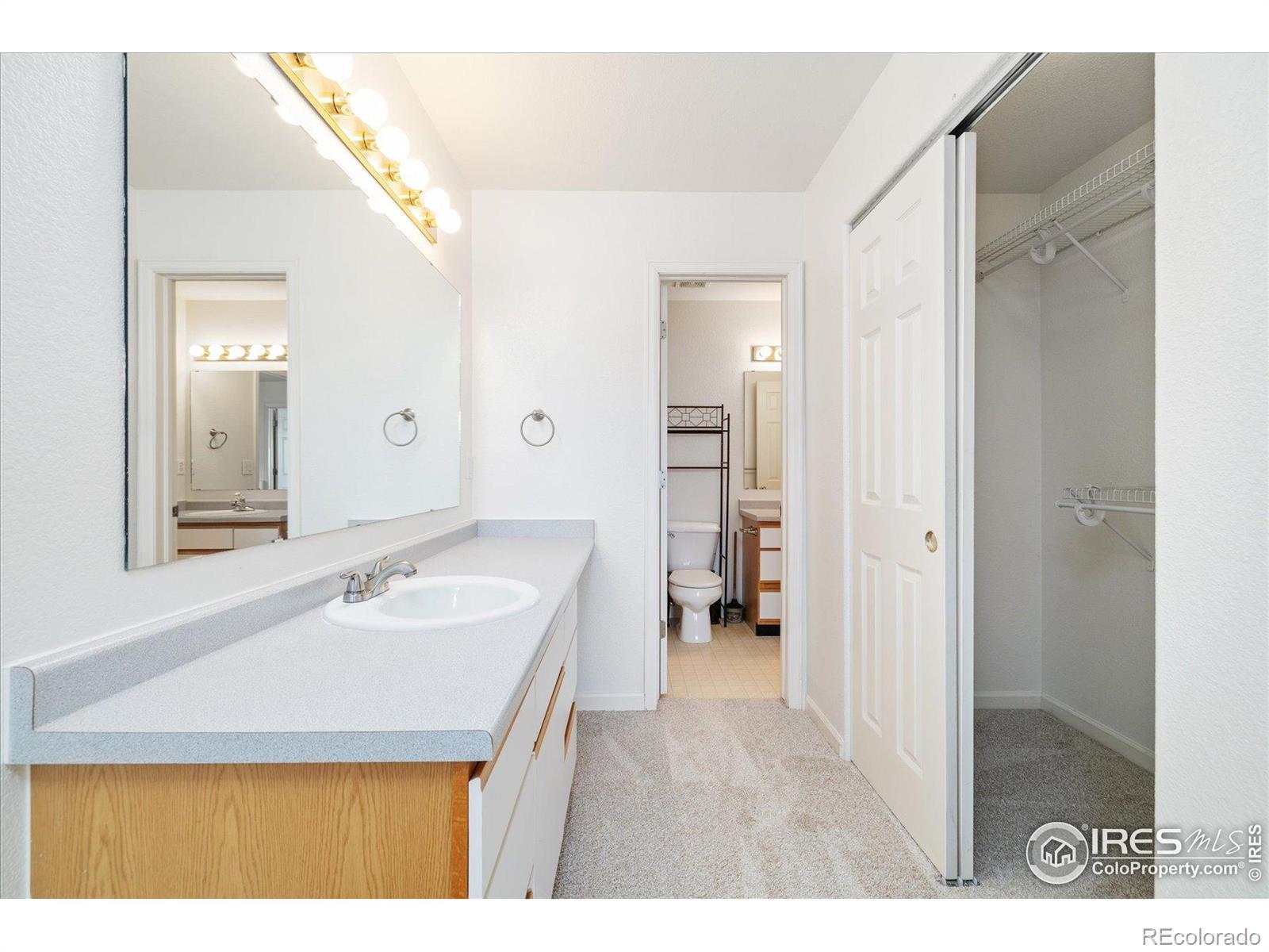 MLS Image #19 for 1224  country acres court,johnstown, Colorado