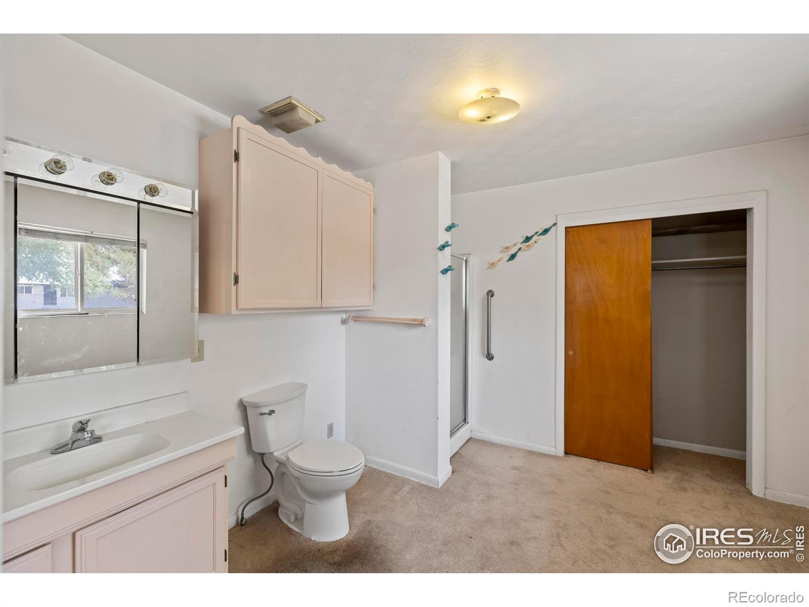 MLS Image #12 for 1824  valley view lane,fort collins, Colorado