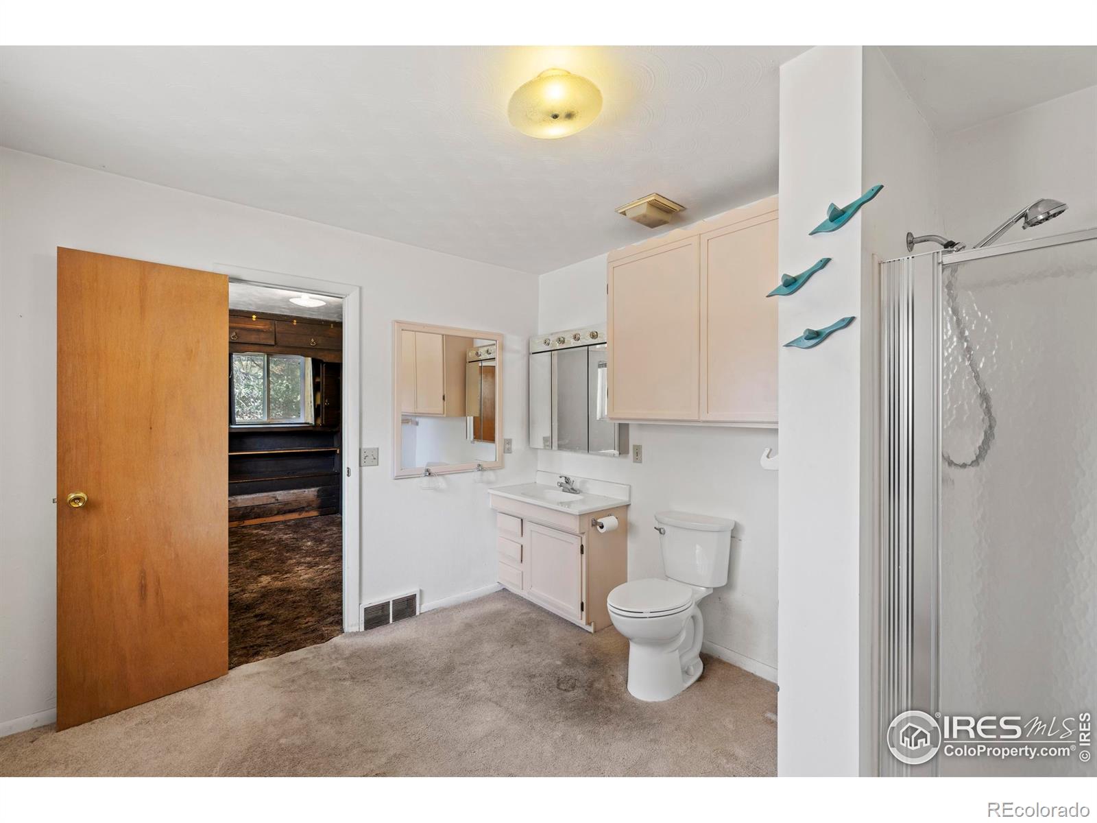 MLS Image #13 for 1824  valley view lane,fort collins, Colorado