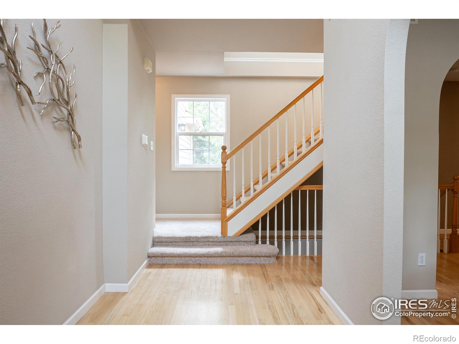 MLS Image #12 for 925  benson lane,fort collins, Colorado