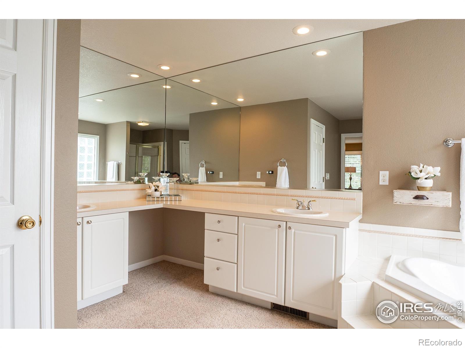 MLS Image #13 for 925  benson lane,fort collins, Colorado