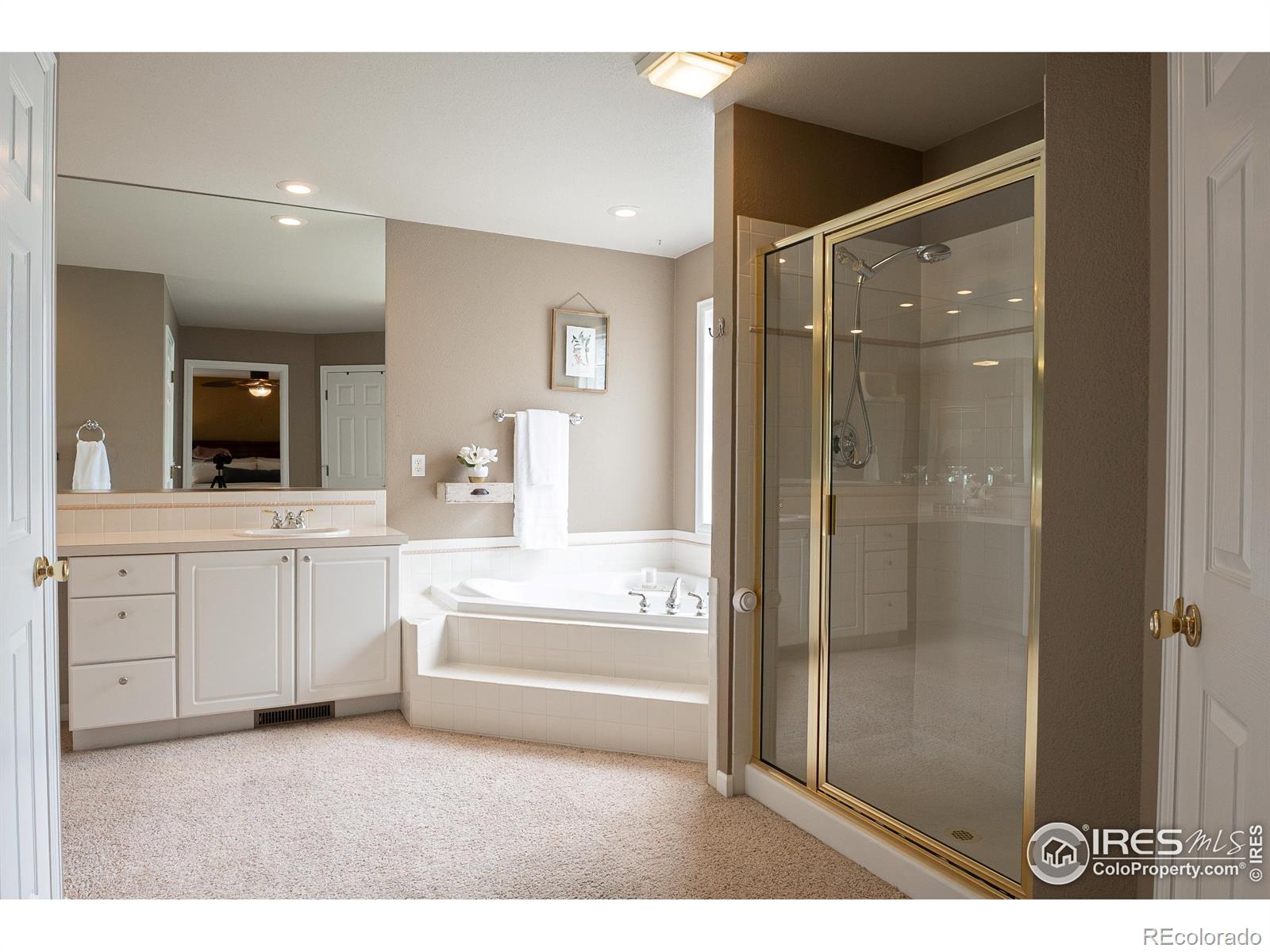 MLS Image #14 for 925  benson lane,fort collins, Colorado