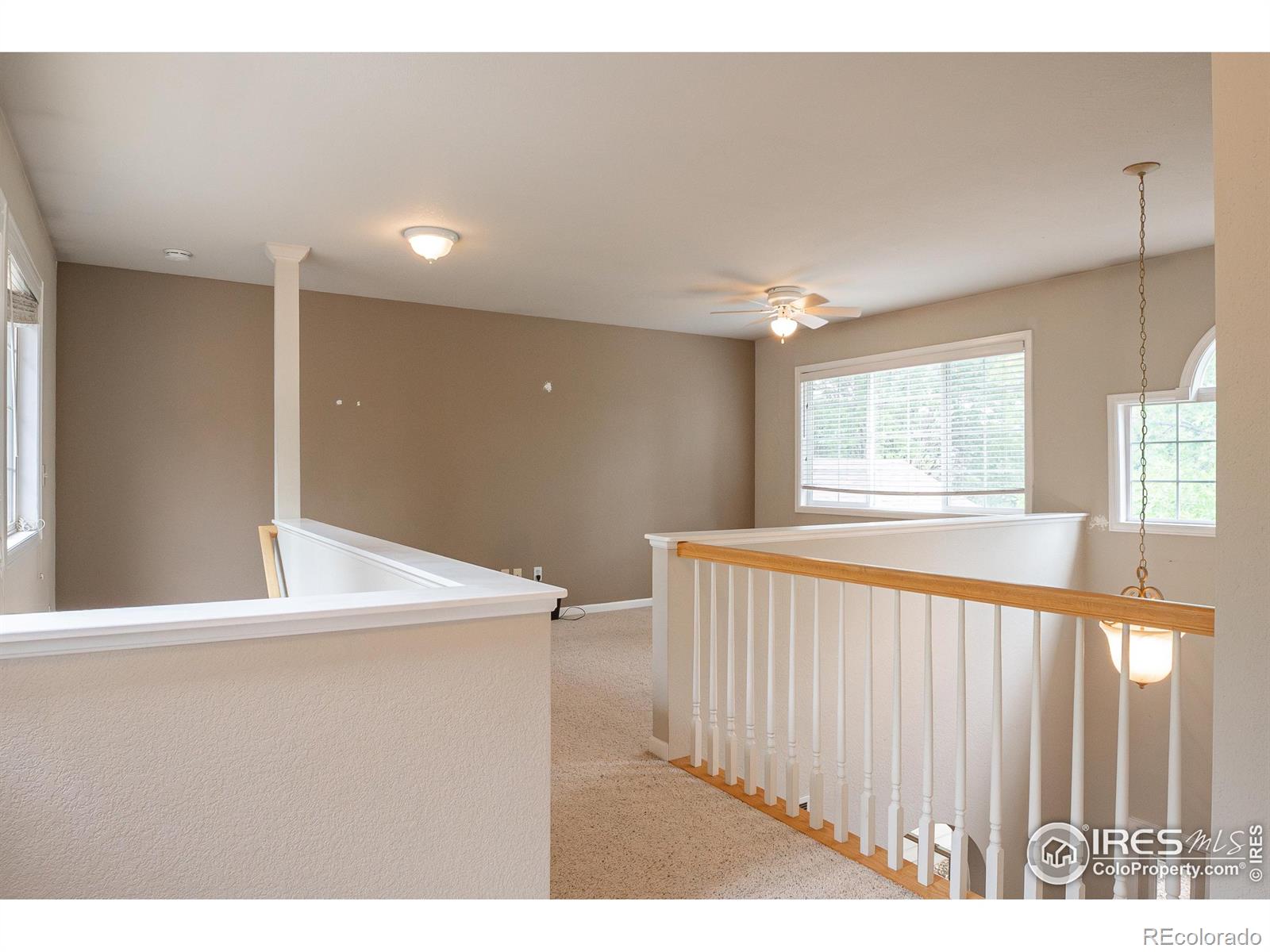 MLS Image #19 for 925  benson lane,fort collins, Colorado
