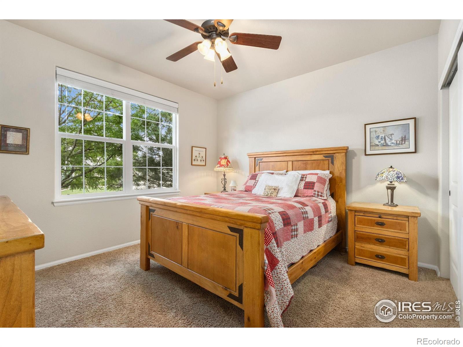 MLS Image #20 for 123  kitty hawk drive,windsor, Colorado