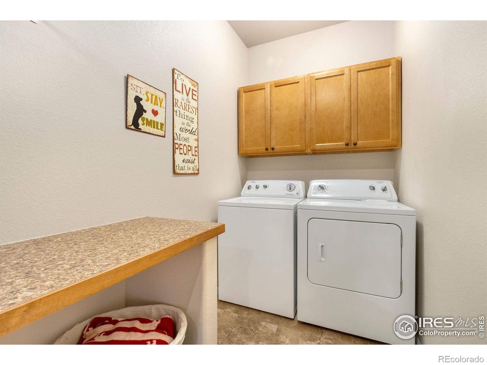 MLS Image #23 for 123  kitty hawk drive,windsor, Colorado