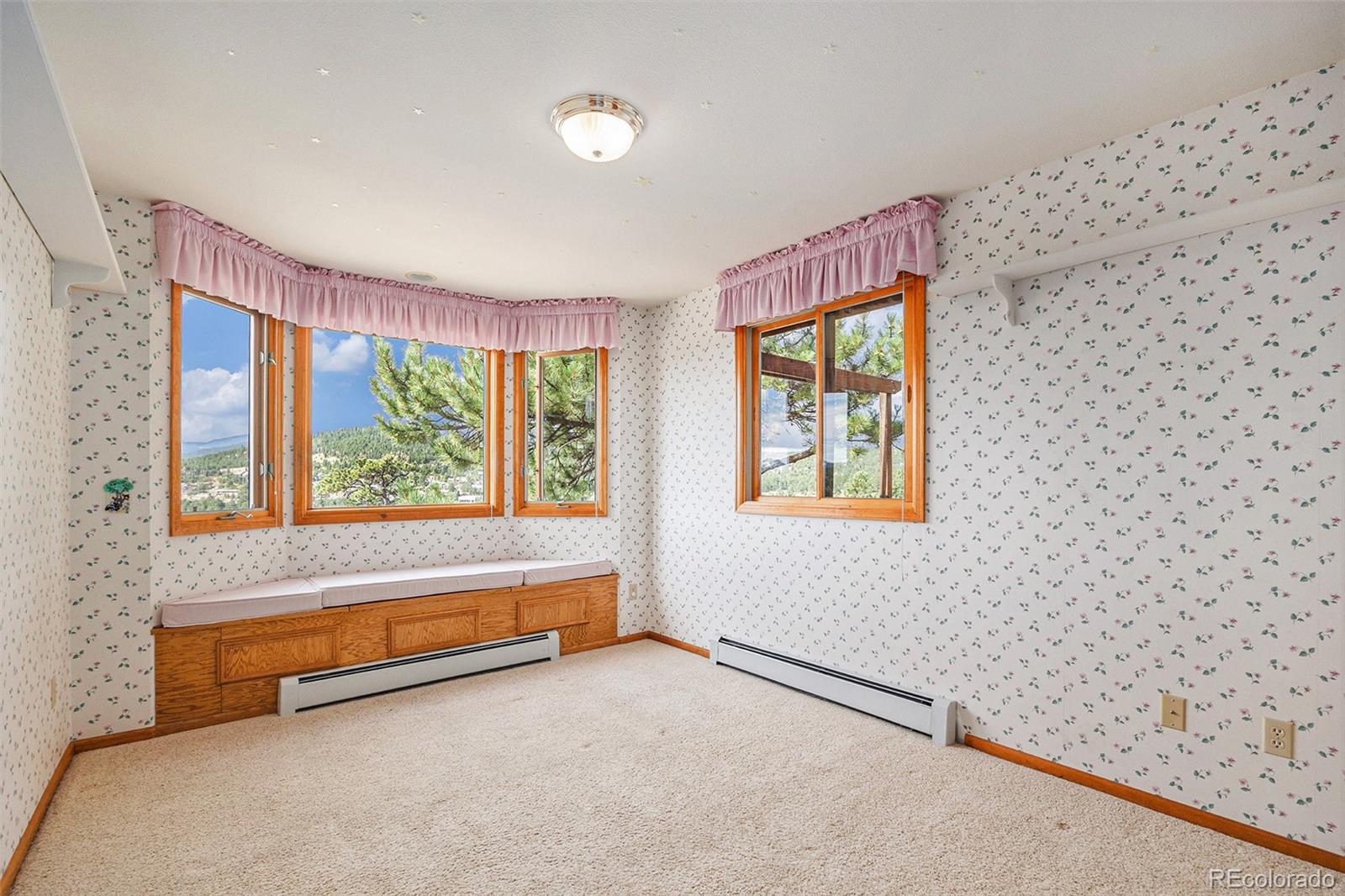 MLS Image #13 for 30080  chestnut drive,evergreen, Colorado
