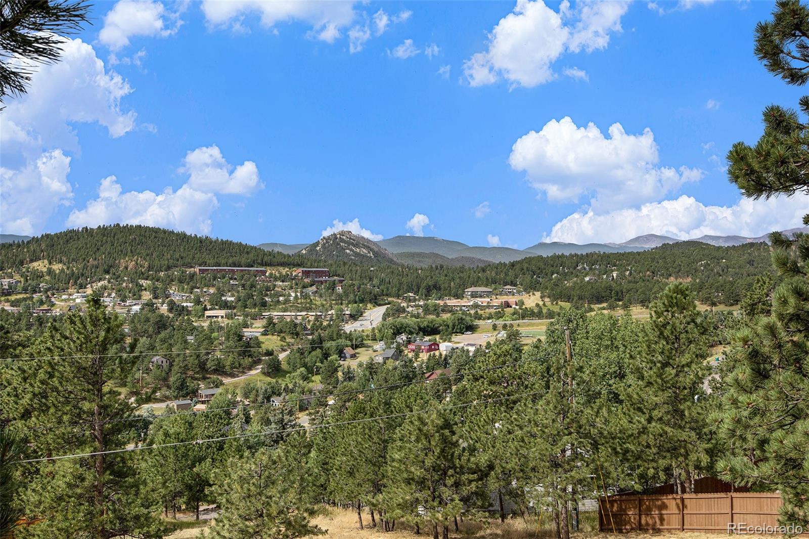 MLS Image #4 for 30080  chestnut drive,evergreen, Colorado