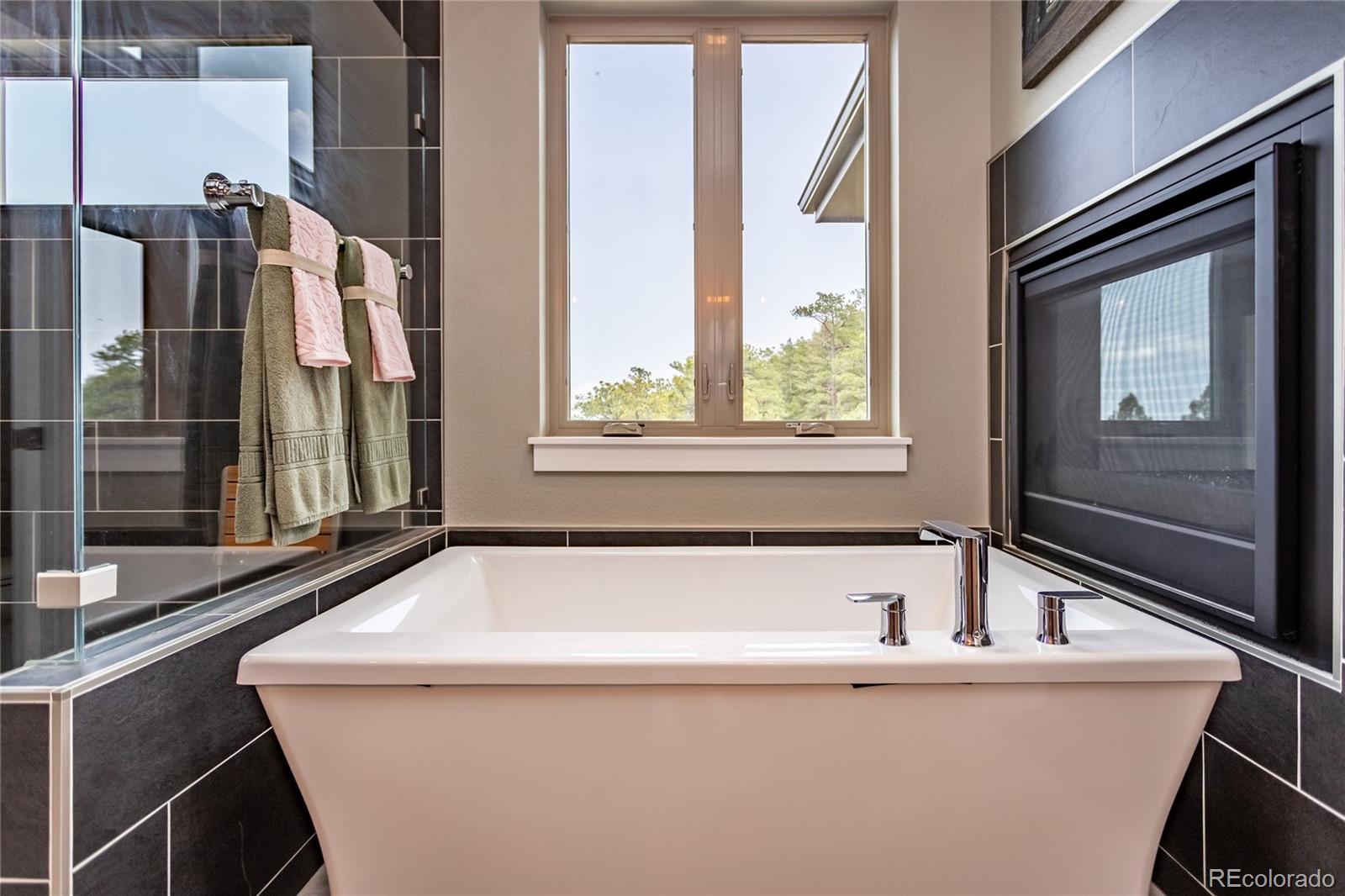 MLS Image #21 for 3760  big spruce heights,colorado springs, Colorado