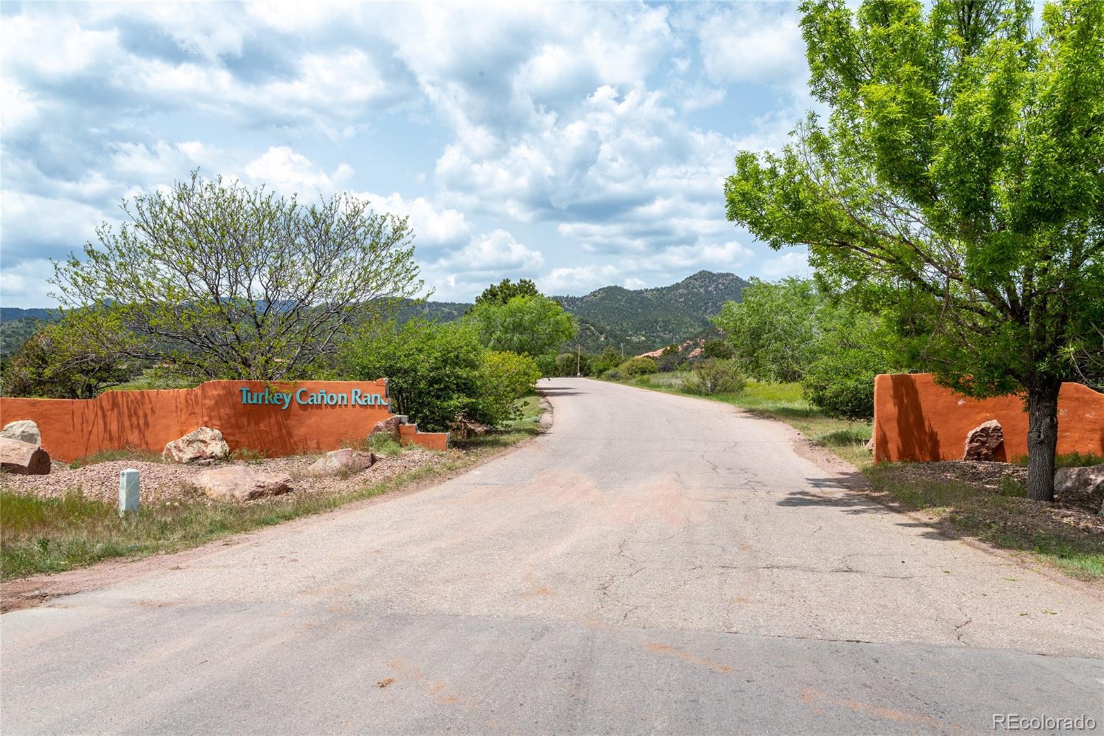 MLS Image #48 for 3760  big spruce heights,colorado springs, Colorado