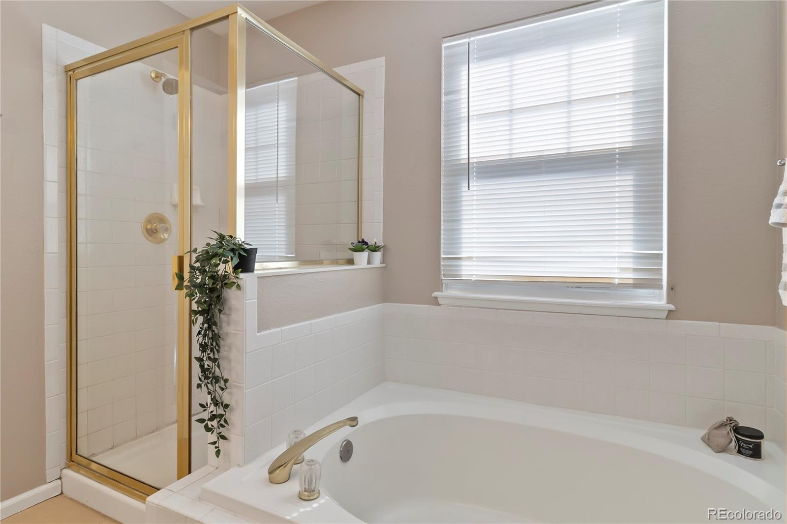 MLS Image #23 for 3390 w 98th place,westminster, Colorado