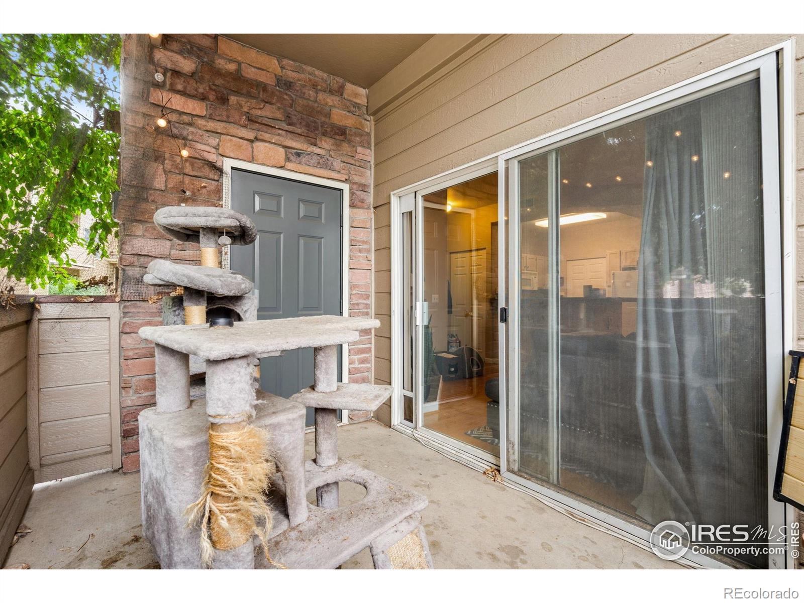 MLS Image #10 for 4545  wheaton drive,fort collins, Colorado