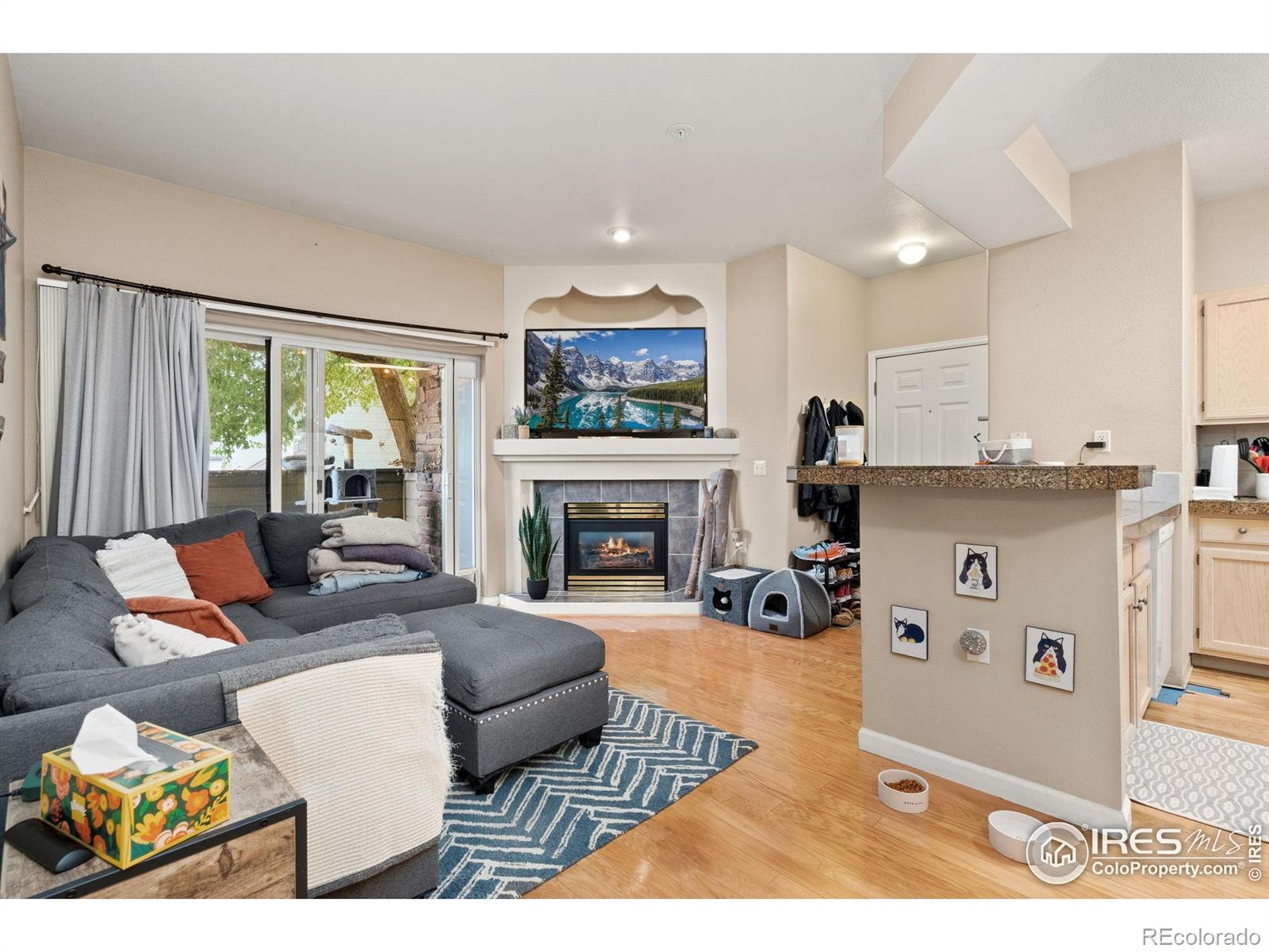 MLS Image #11 for 4545  wheaton drive,fort collins, Colorado