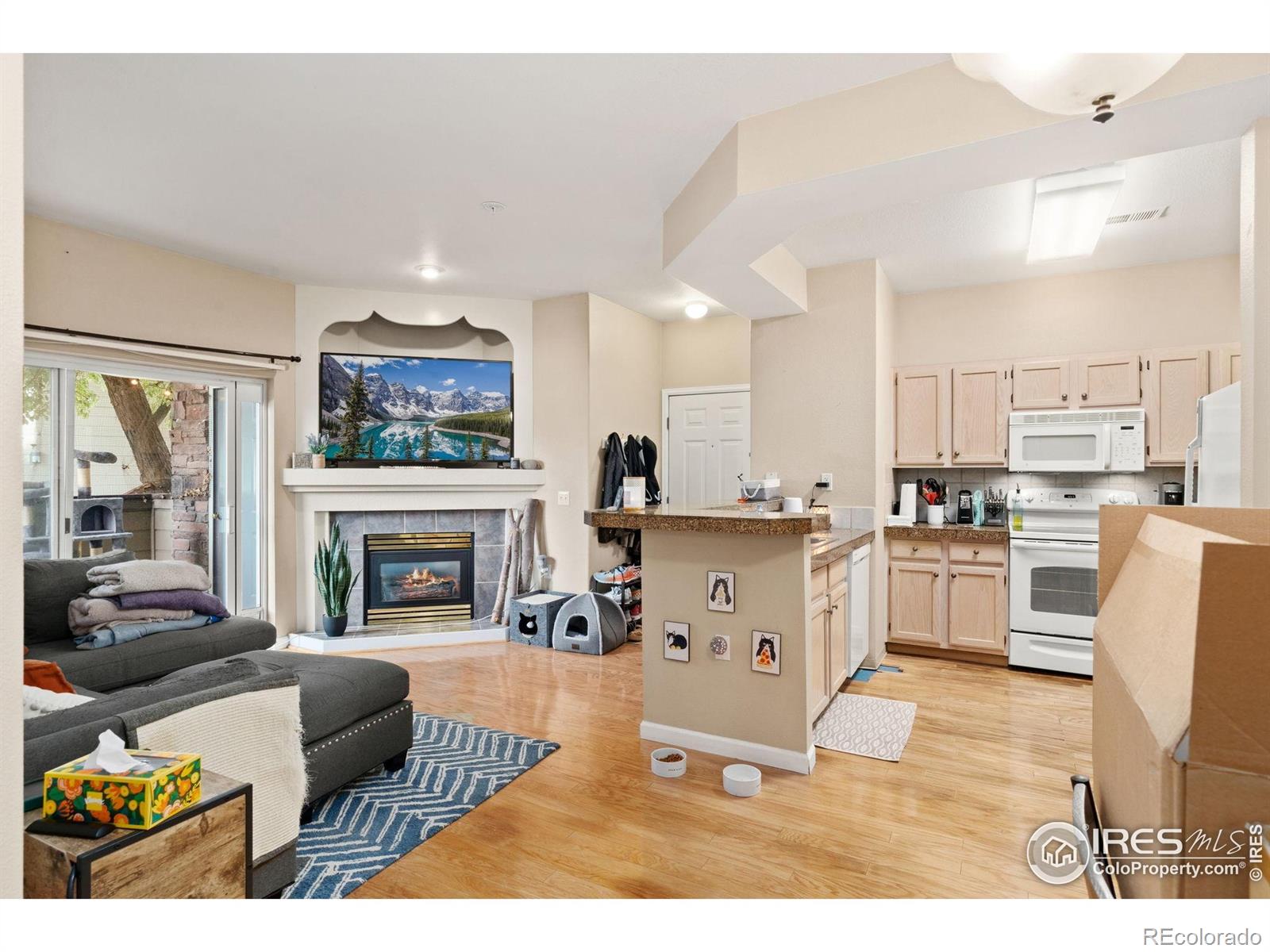 MLS Image #12 for 4545  wheaton drive,fort collins, Colorado