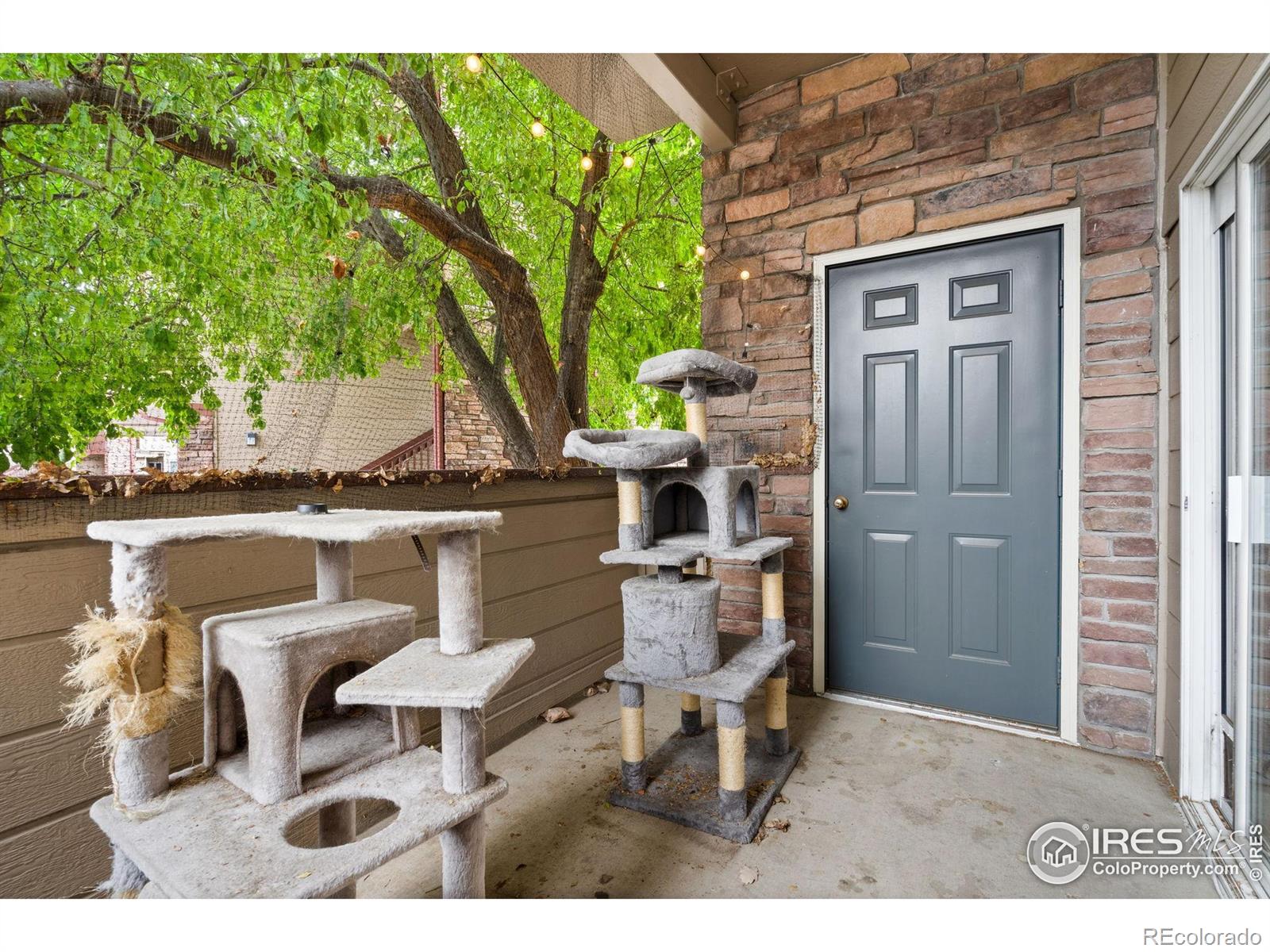 MLS Image #9 for 4545  wheaton drive,fort collins, Colorado