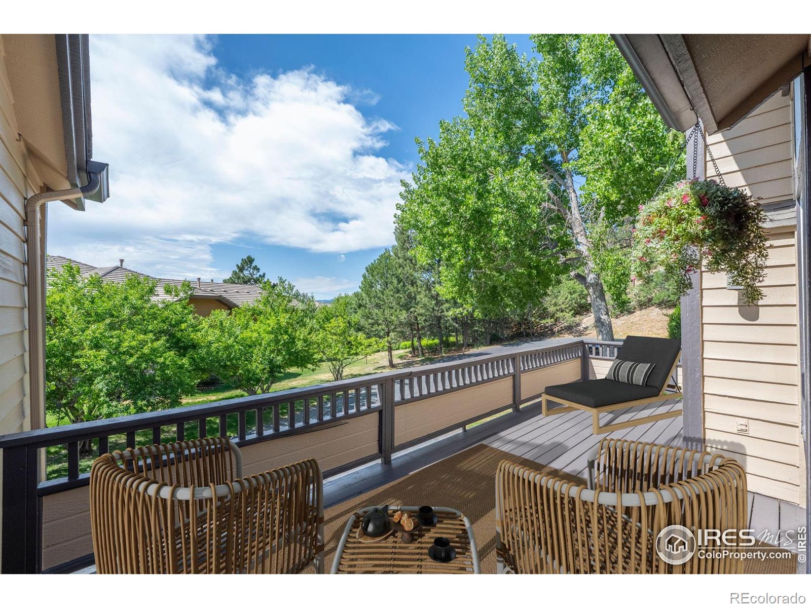 MLS Image #14 for 4219  morning star drive,castle rock, Colorado