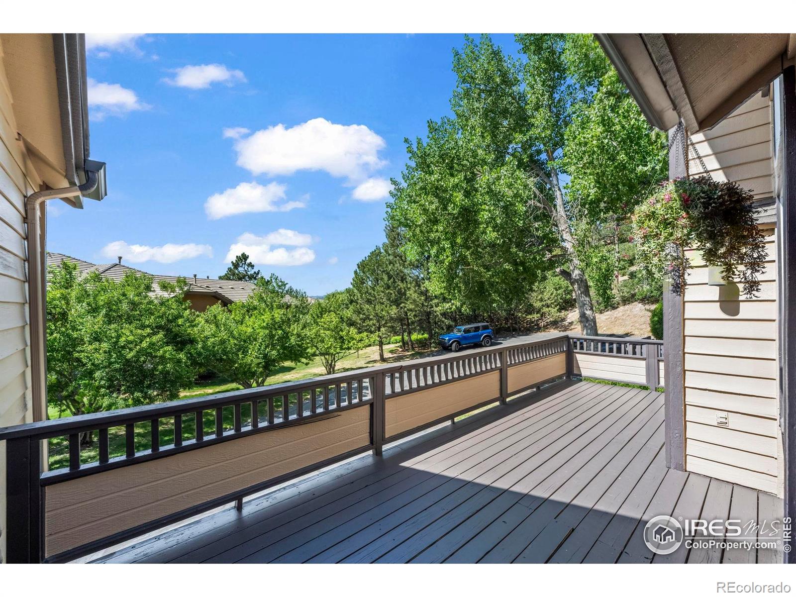 MLS Image #15 for 4219  morning star drive,castle rock, Colorado