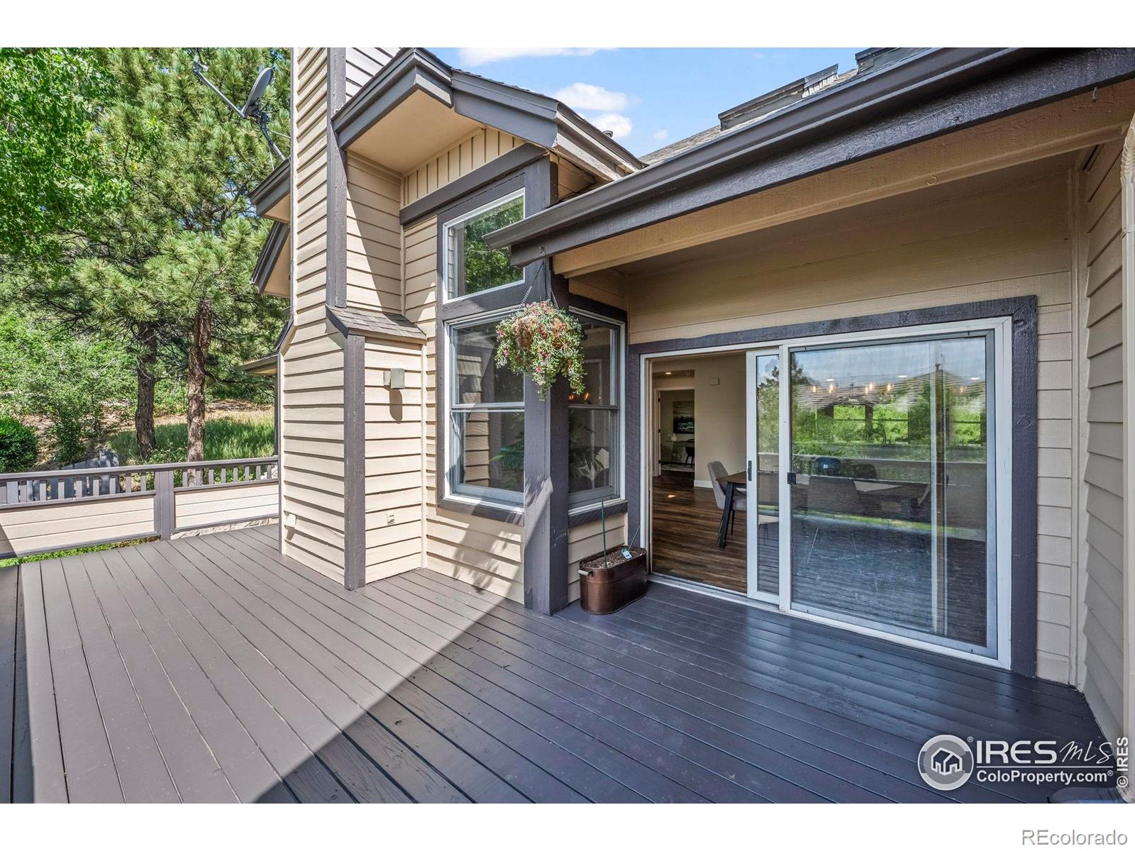 MLS Image #16 for 4219  morning star drive,castle rock, Colorado