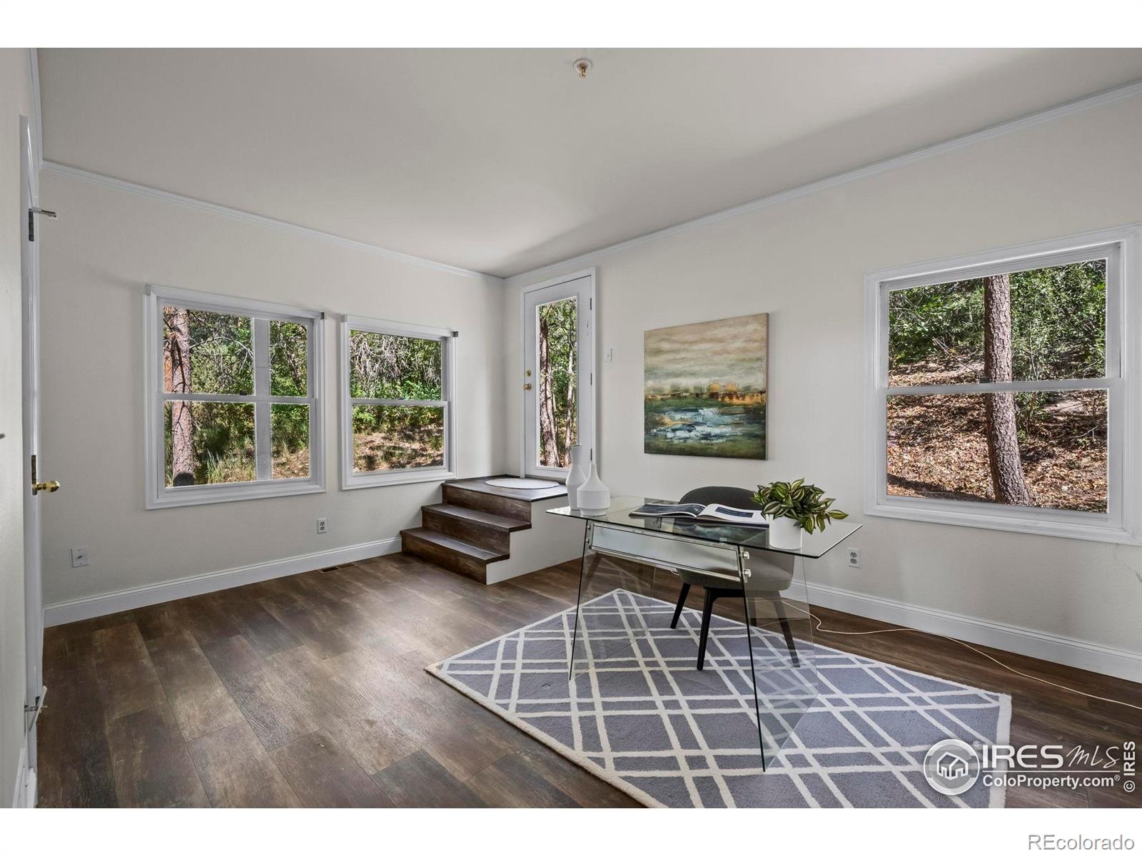 MLS Image #17 for 4219  morning star drive,castle rock, Colorado