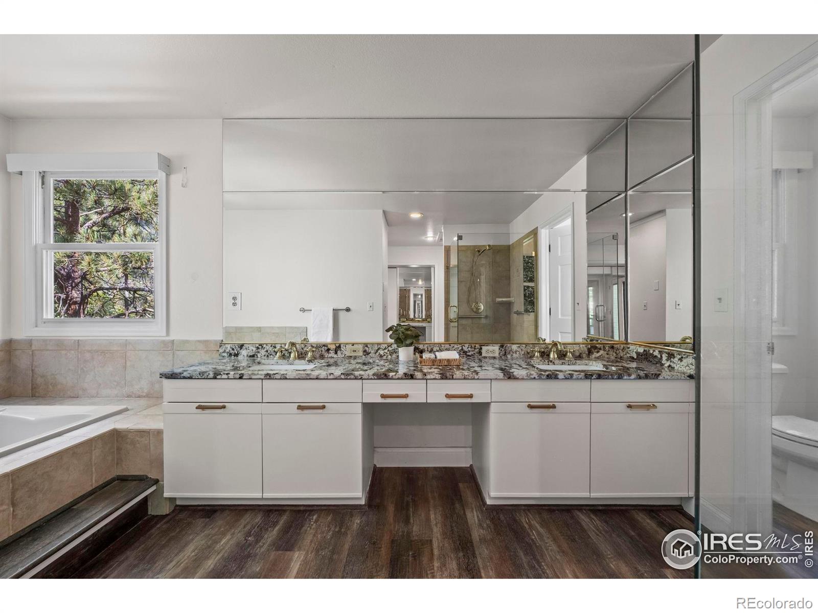 MLS Image #24 for 4219  morning star drive,castle rock, Colorado