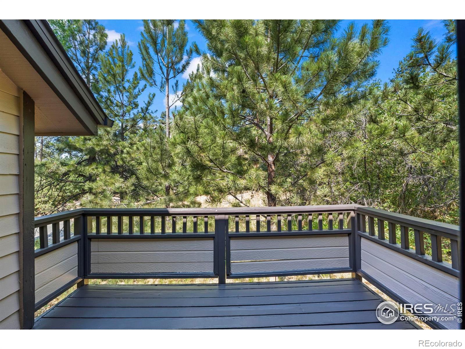 MLS Image #26 for 4219  morning star drive,castle rock, Colorado