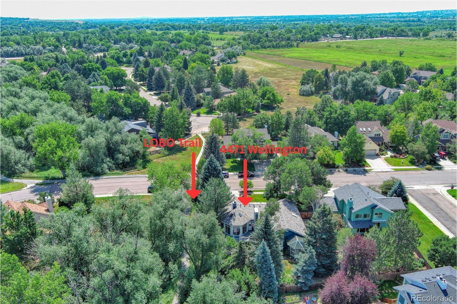 MLS Image #34 for 4471  wellington road,boulder, Colorado