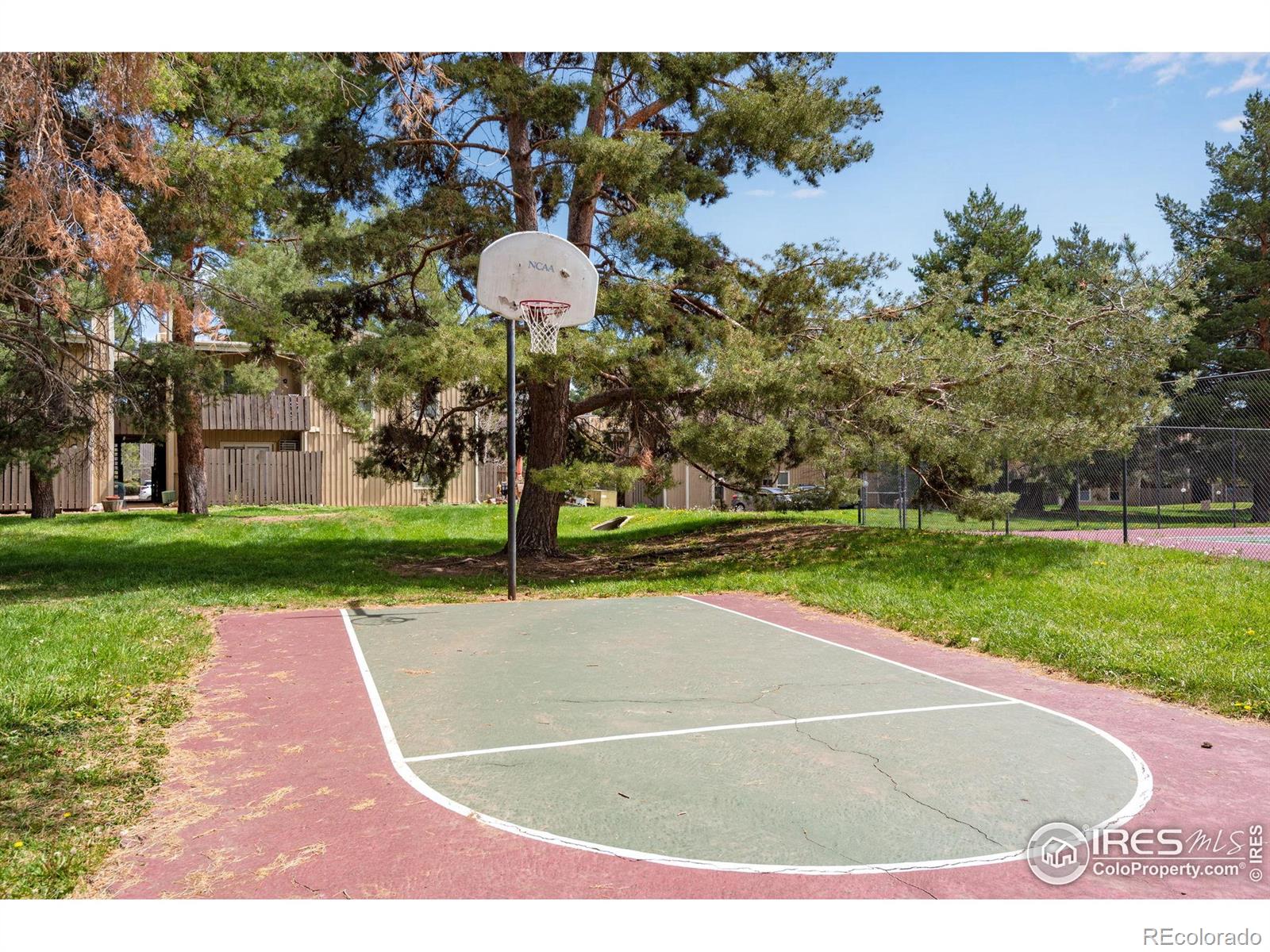 MLS Image #34 for 8050  niwot road,niwot, Colorado