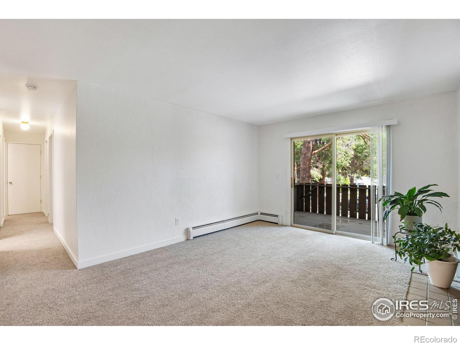 MLS Image #5 for 8050  niwot road,niwot, Colorado