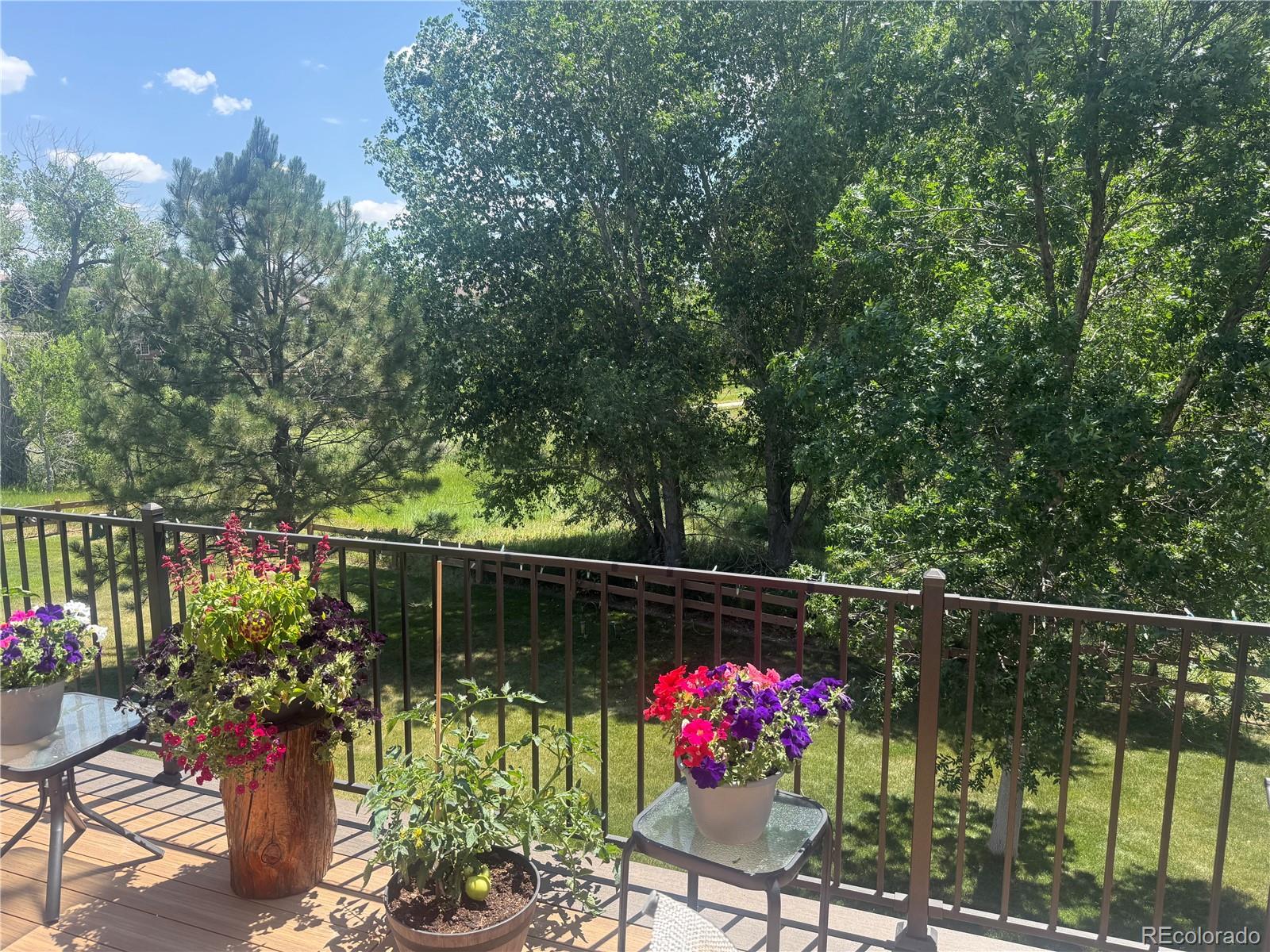 MLS Image #2 for 7788 s buchanan way,aurora, Colorado