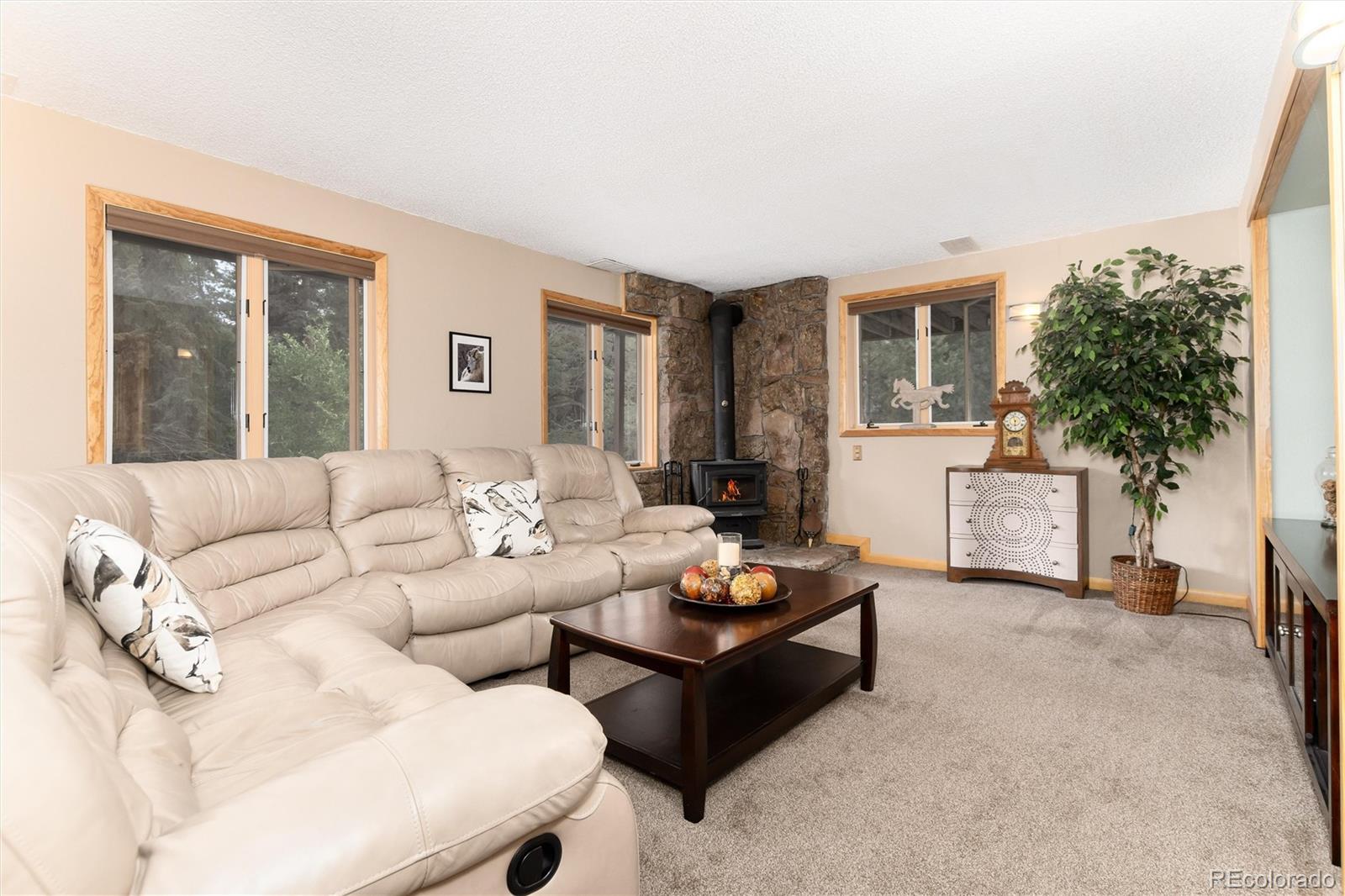 MLS Image #25 for 31673  ponderosa way,evergreen, Colorado