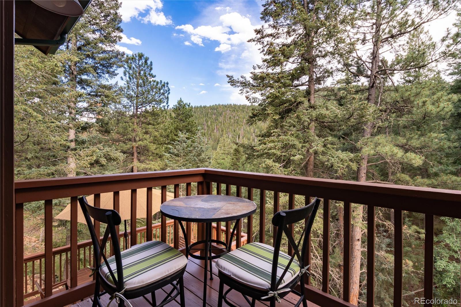 MLS Image #33 for 31673  ponderosa way,evergreen, Colorado