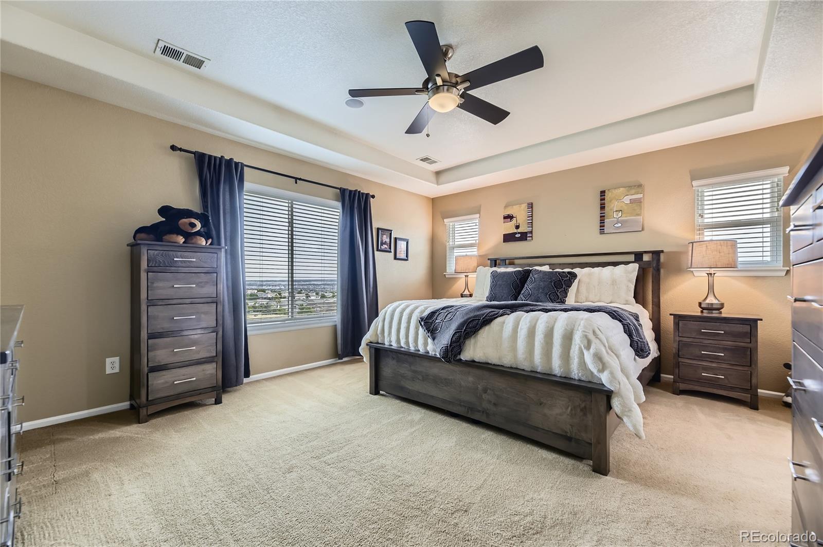 MLS Image #12 for 16059 e grass river place,parker, Colorado