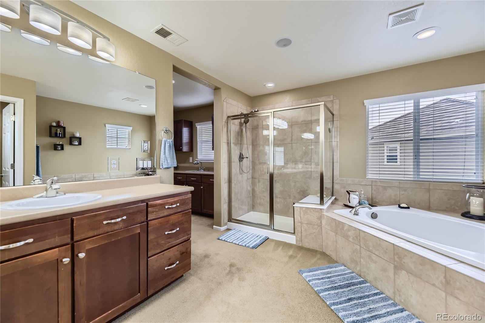 MLS Image #14 for 16059 e grass river place,parker, Colorado