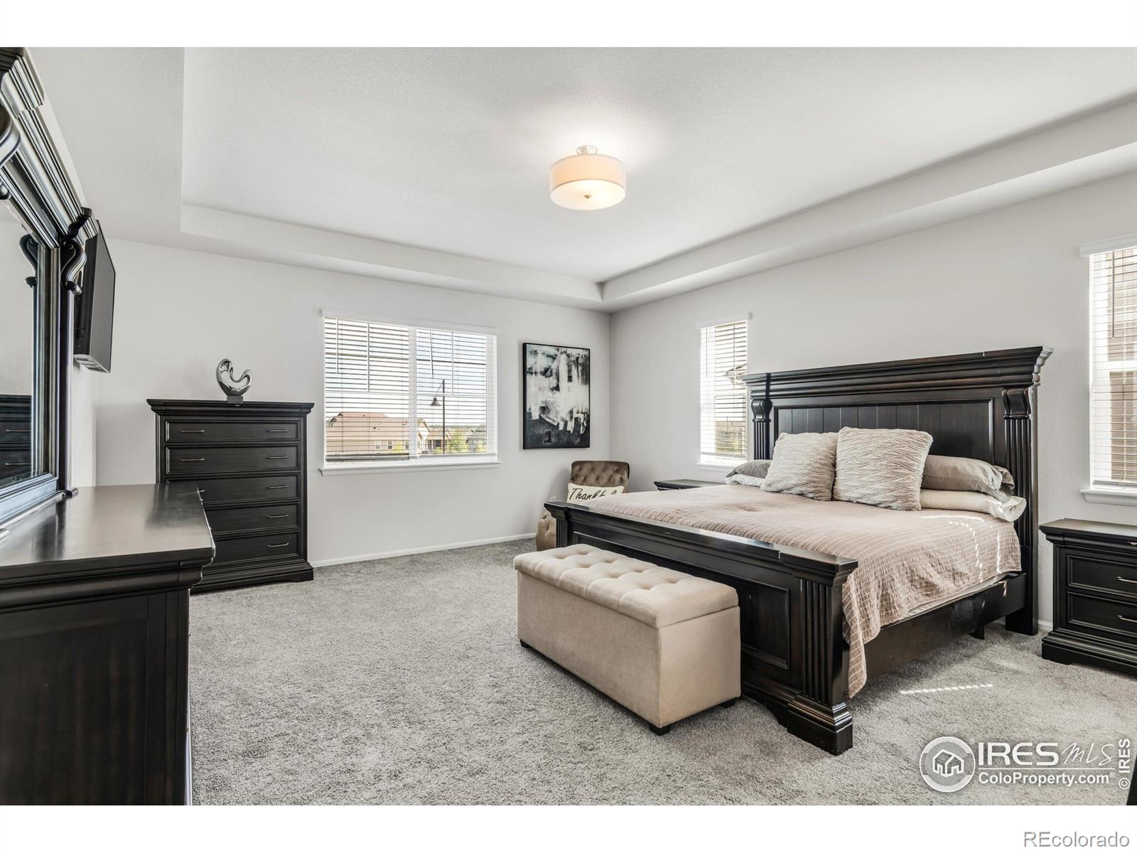 MLS Image #11 for 12697  lake port street,firestone, Colorado
