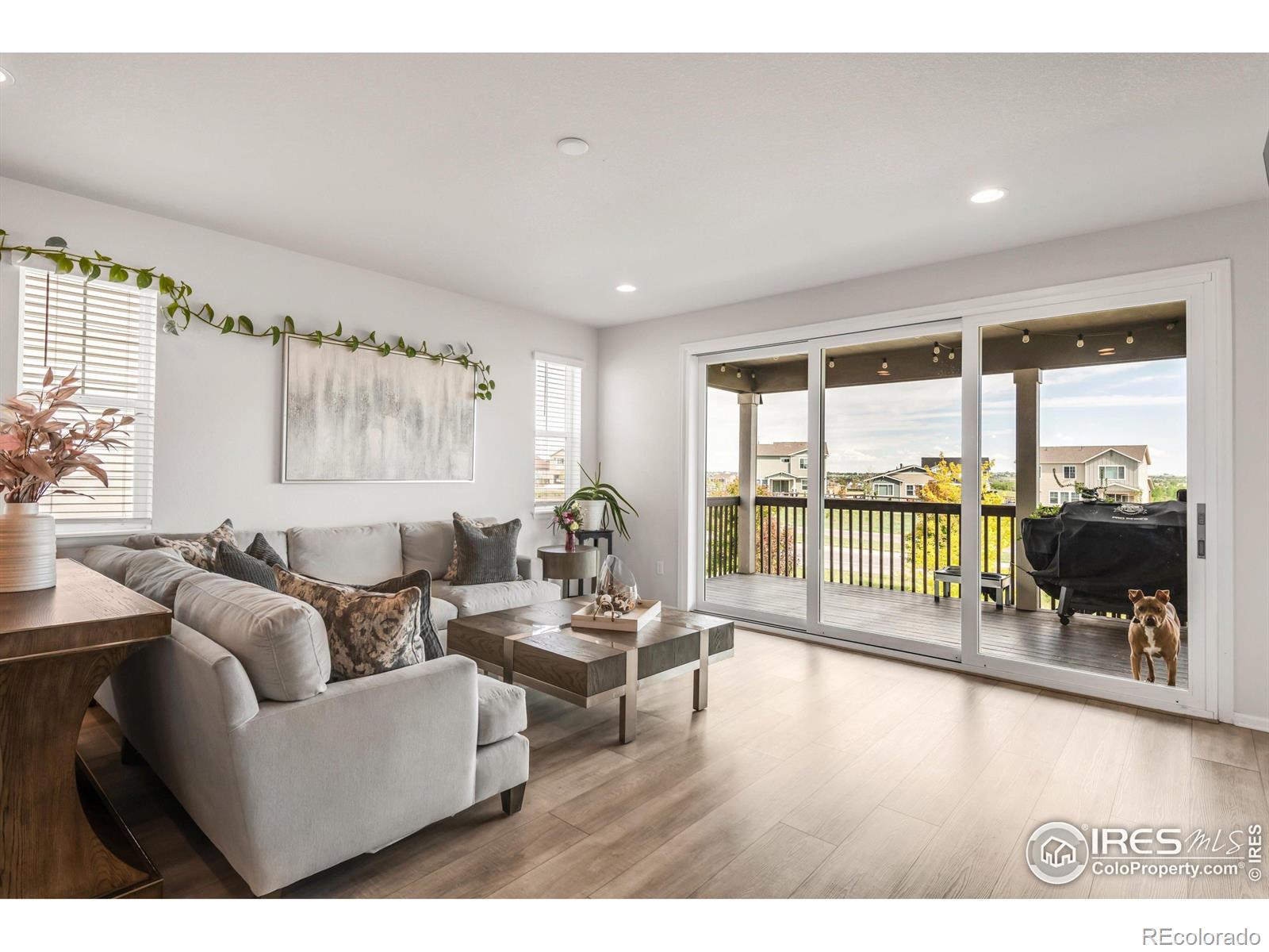MLS Image #6 for 12697  lake port street,firestone, Colorado