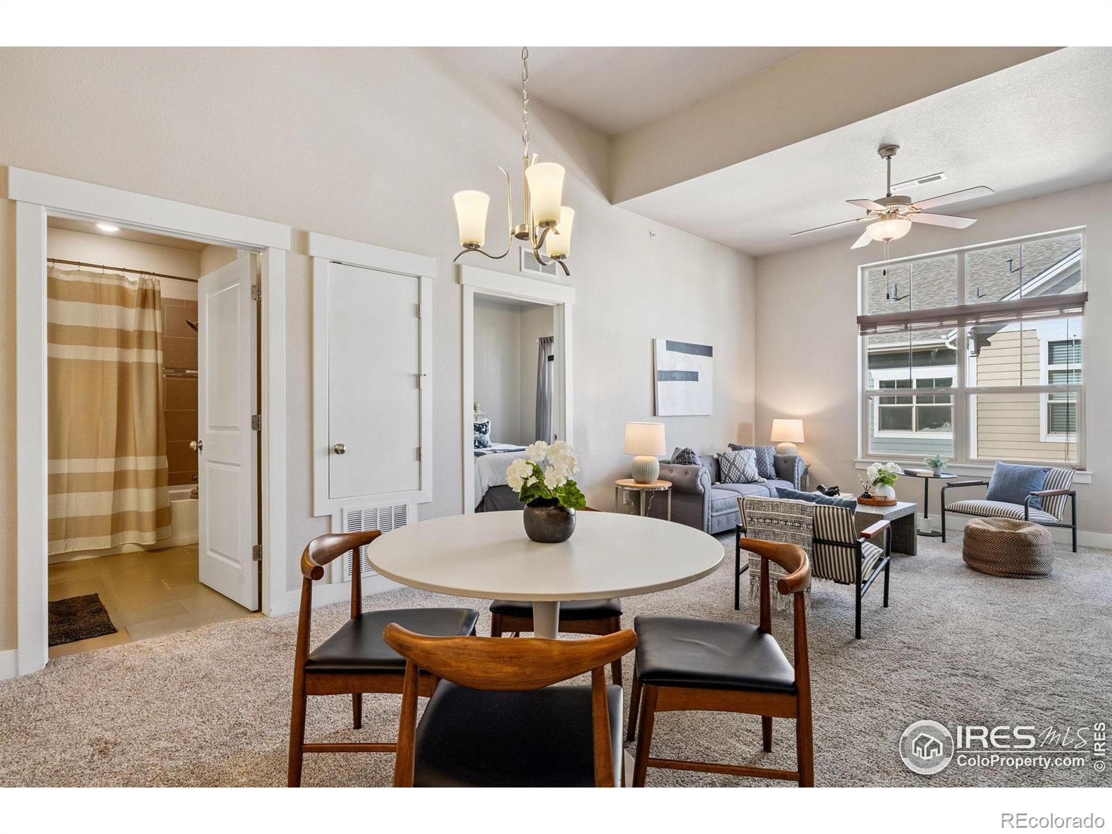 MLS Image #10 for 4642  hahns peak drive,loveland, Colorado