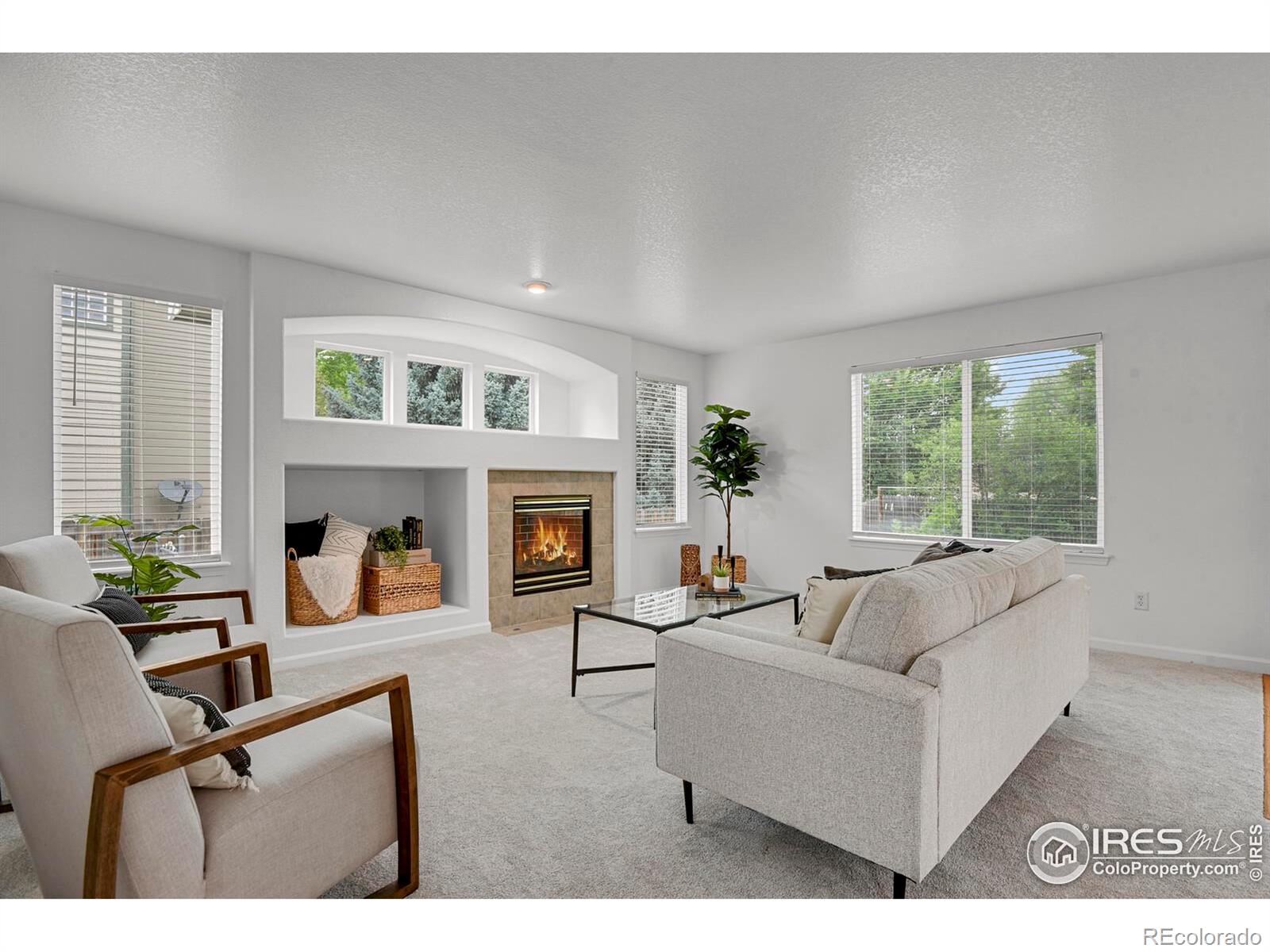 MLS Image #12 for 722  ridge creek court,longmont, Colorado