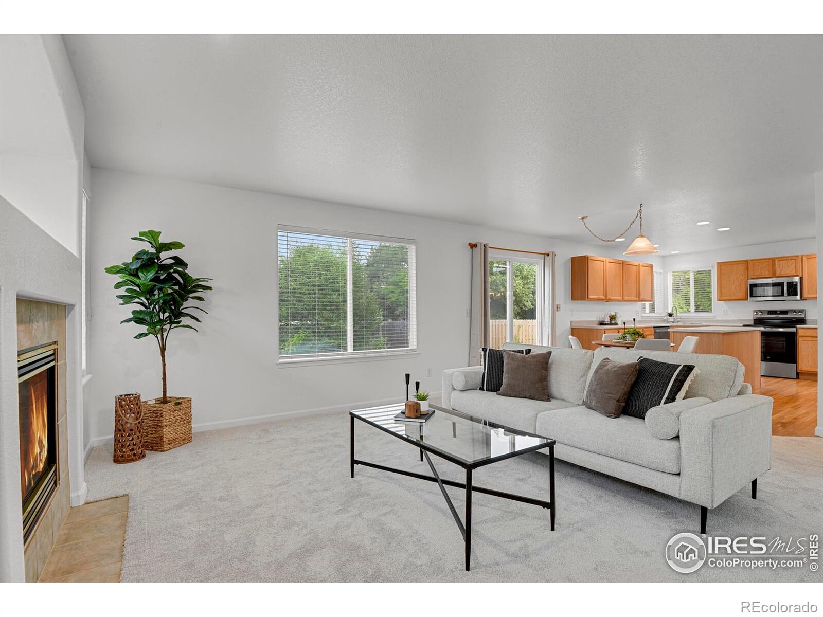 MLS Image #13 for 722  ridge creek court,longmont, Colorado